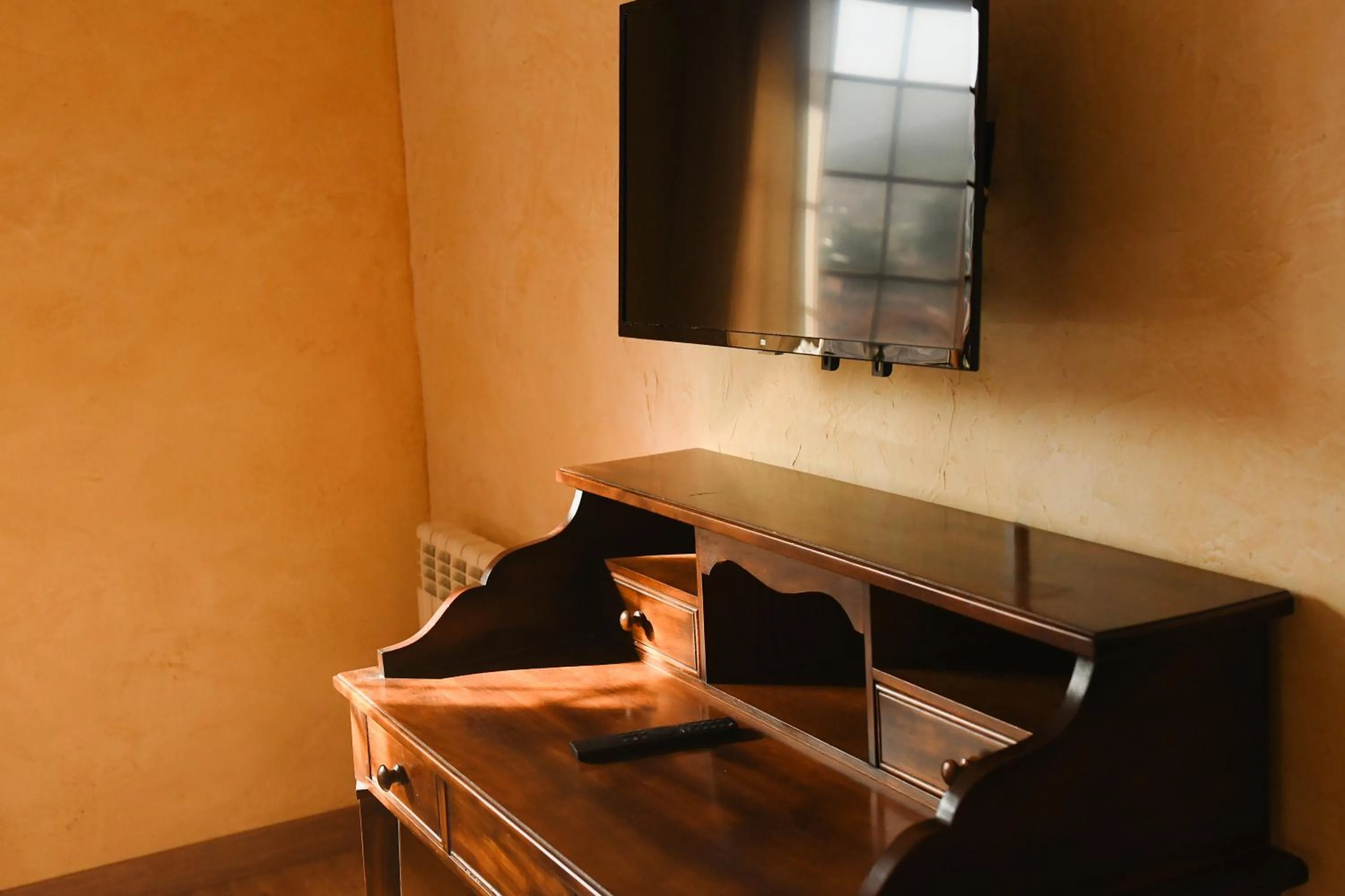 TV and multimedia in Hotel Rural Villa de Vinuesa