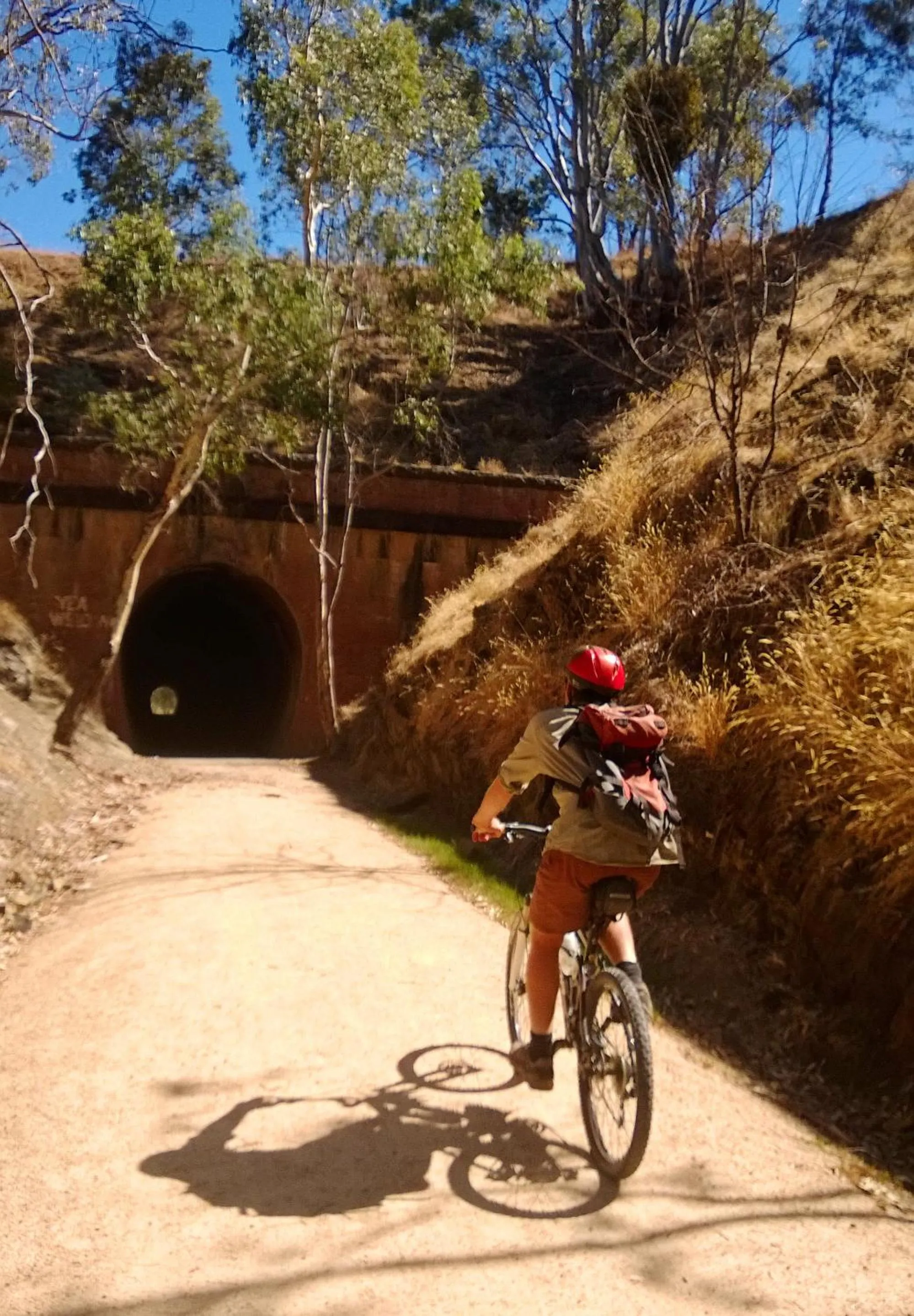 Horse-riding in Marysville Garden Cottages