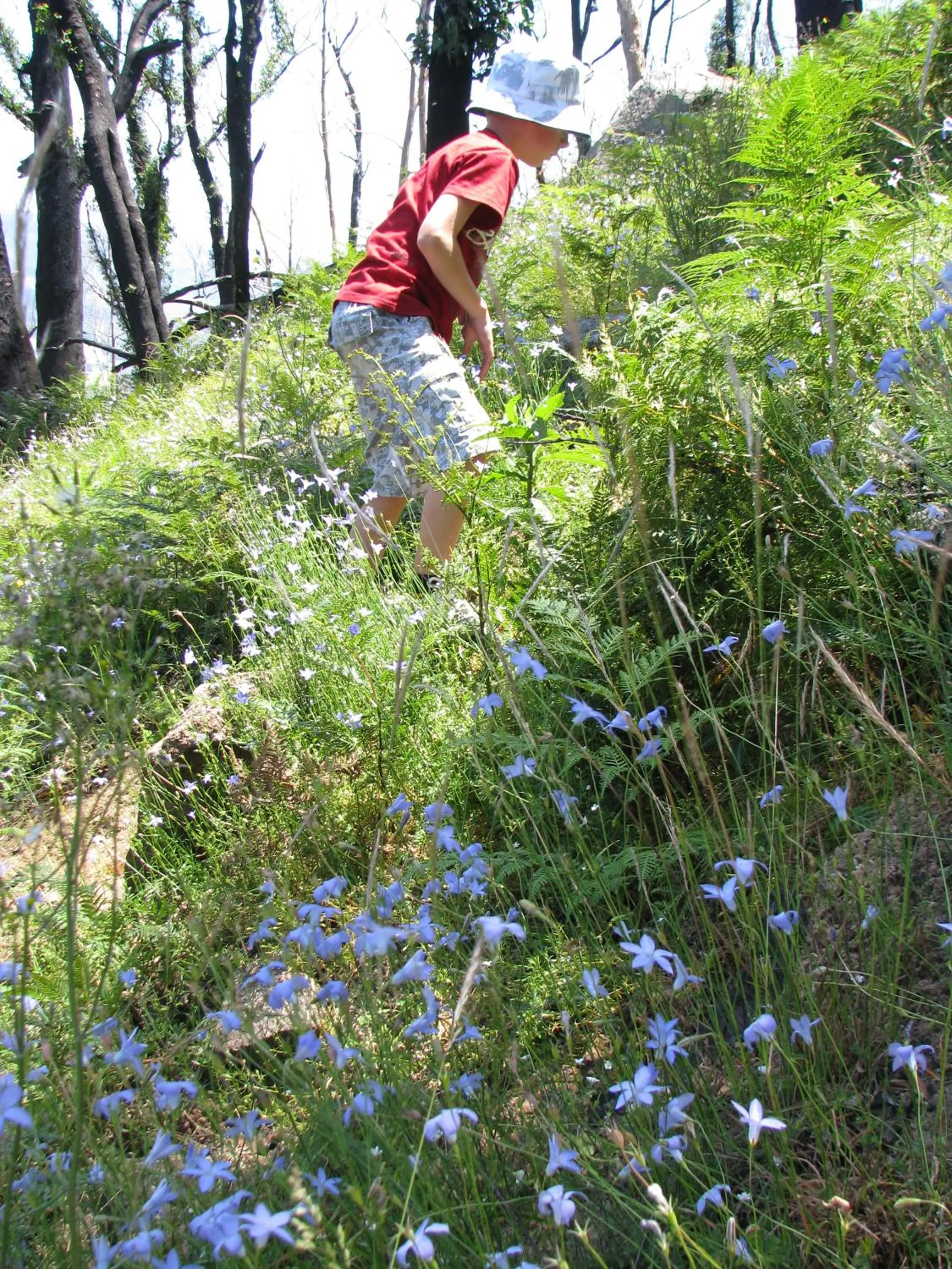 Spring in Marysville Garden Cottages