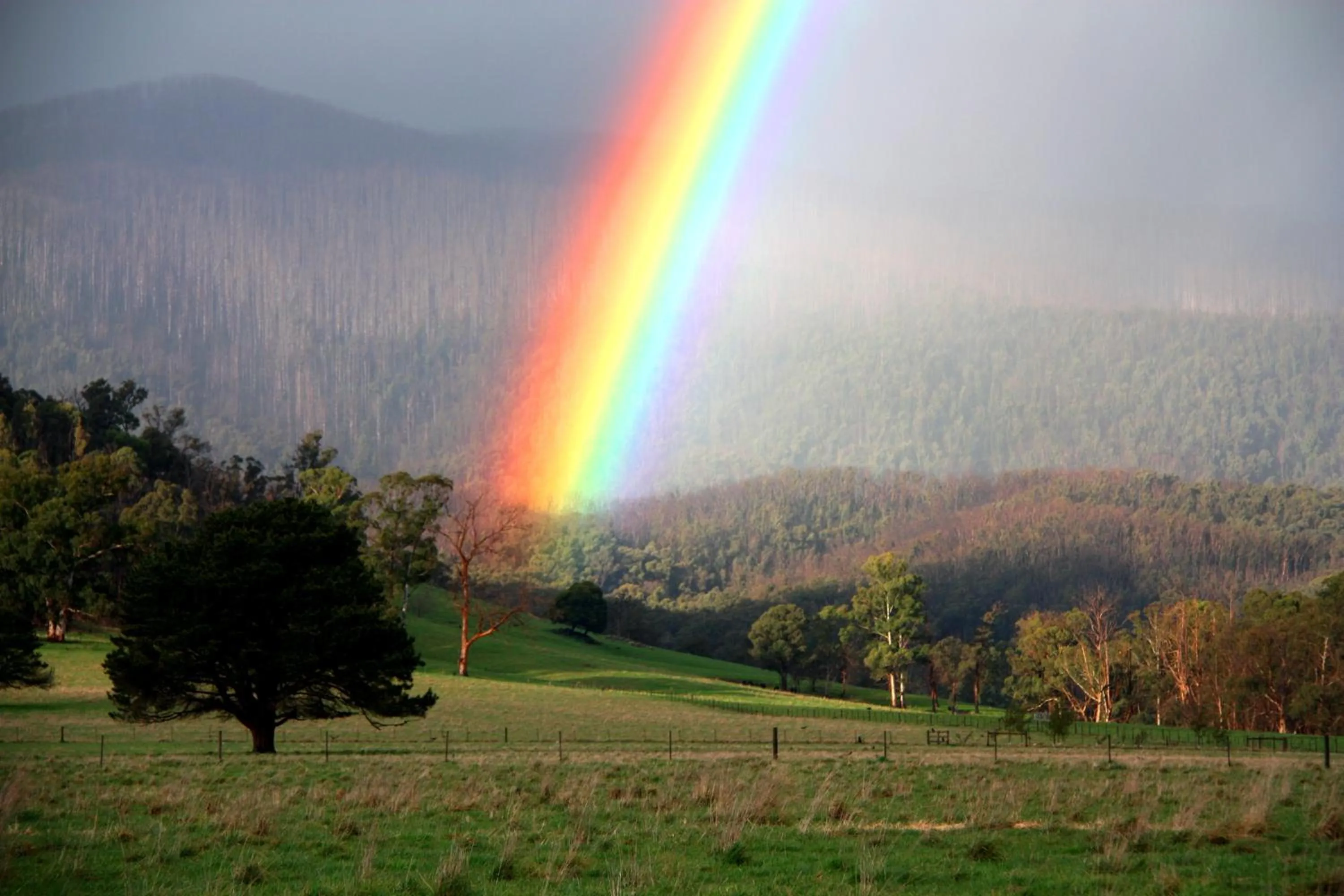 Natural landscape in Marysville Garden Cottages