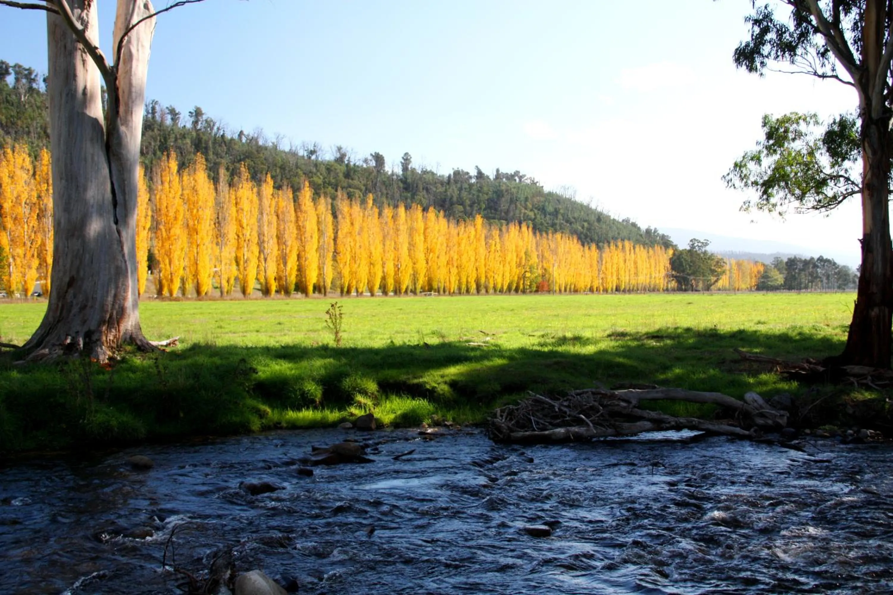 Fishing in Marysville Garden Cottages