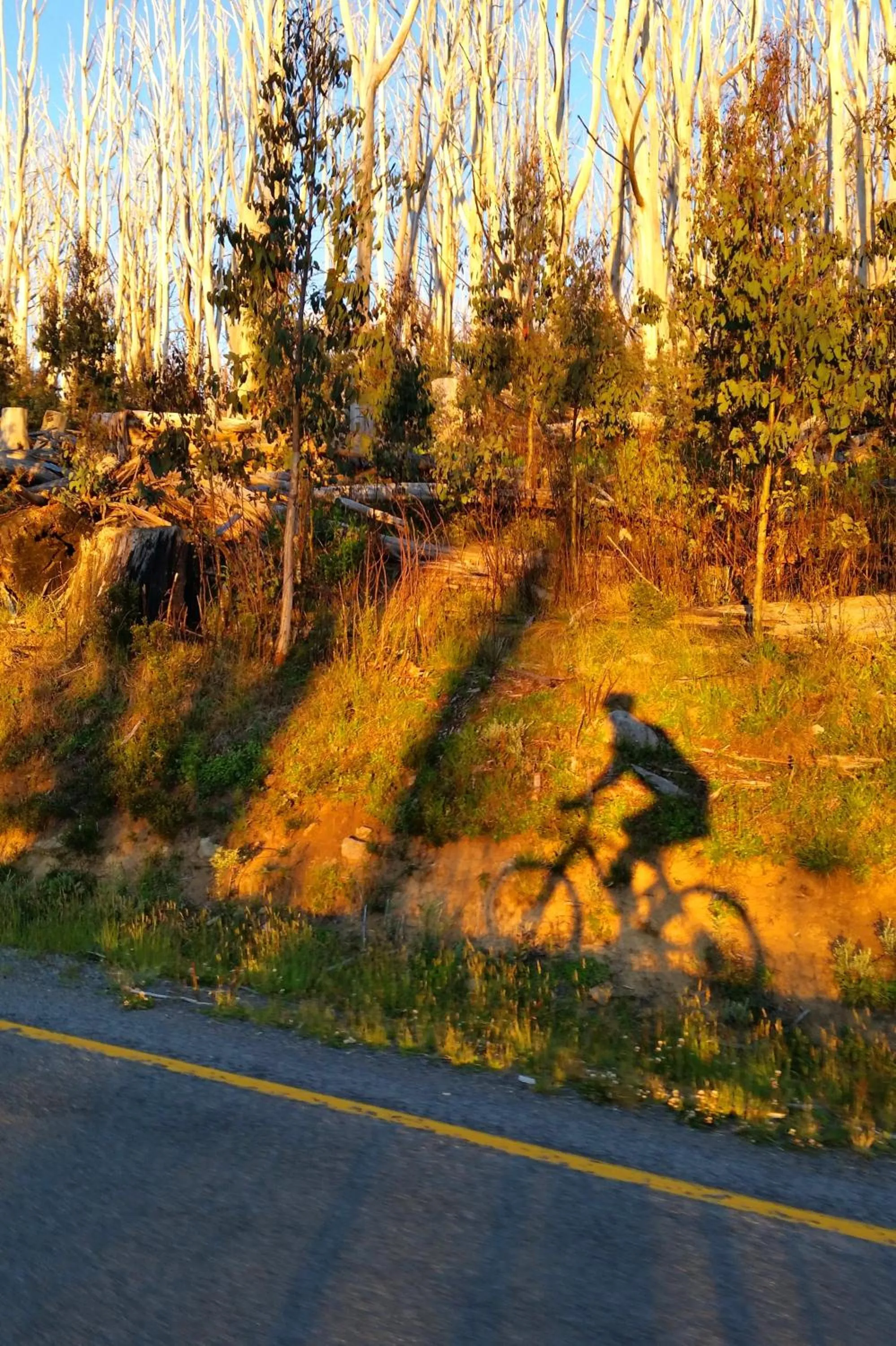Cycling in Marysville Garden Cottages