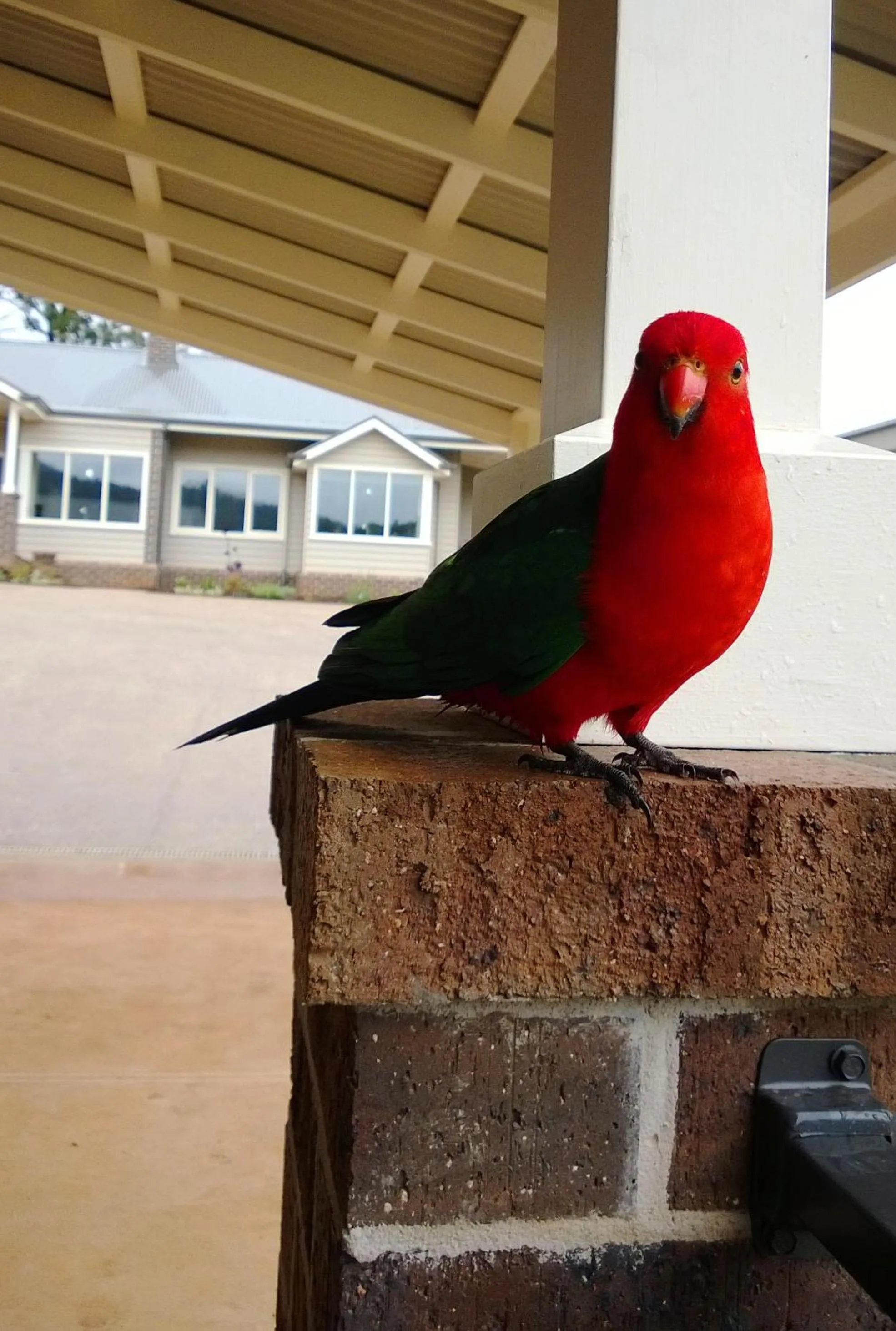 Animals in Marysville Garden Cottages