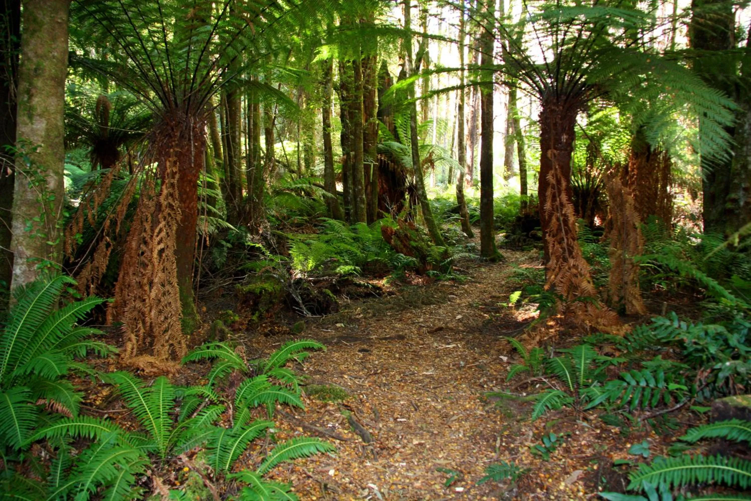 Hiking in Marysville Garden Cottages