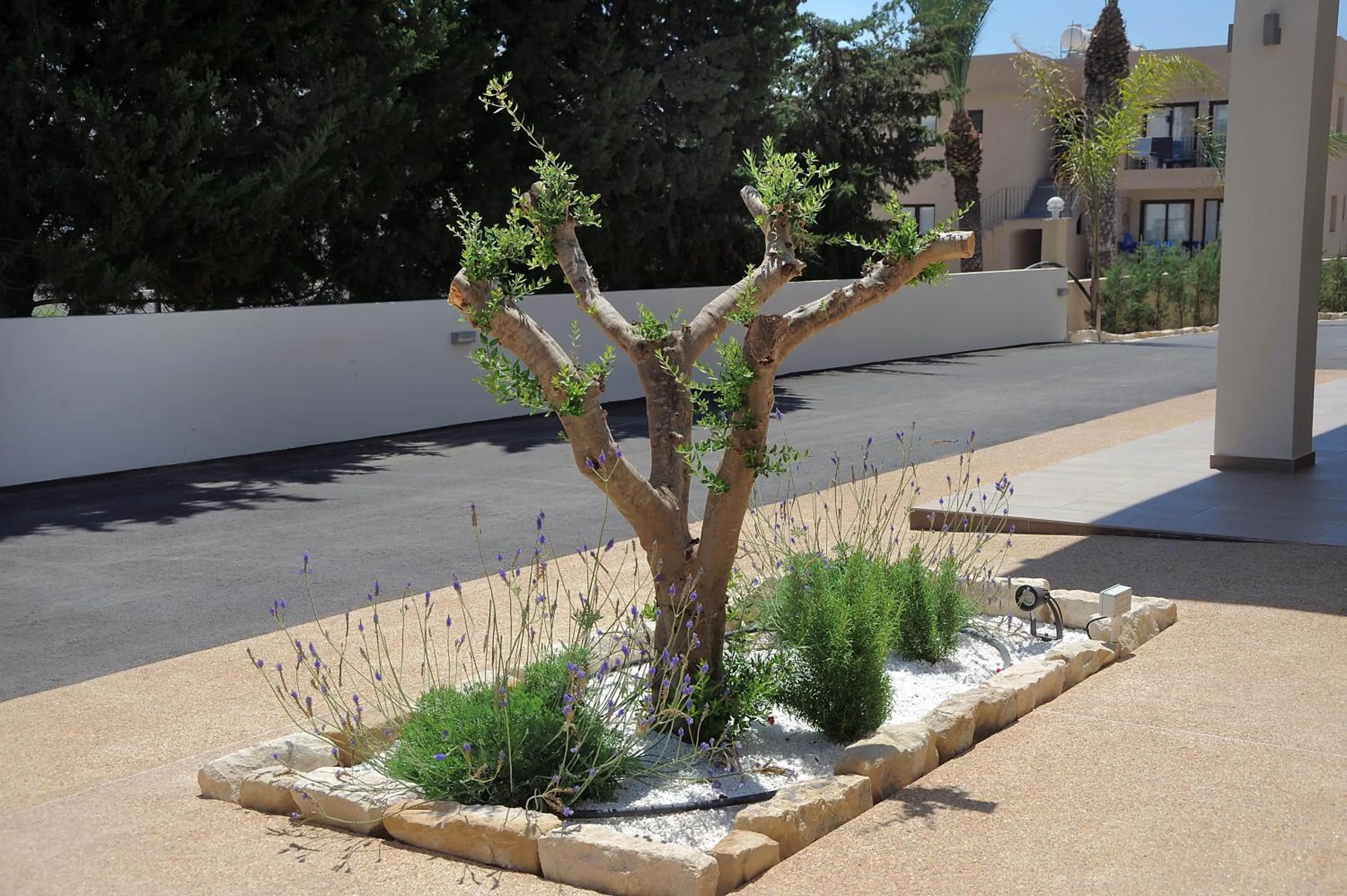 Day in Nelia Gardens