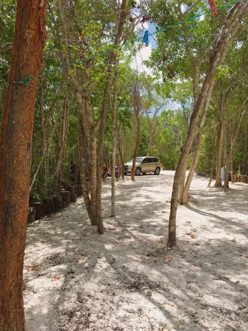 Natural landscape in Aldea Maya-Ha Cabañas con cenotes