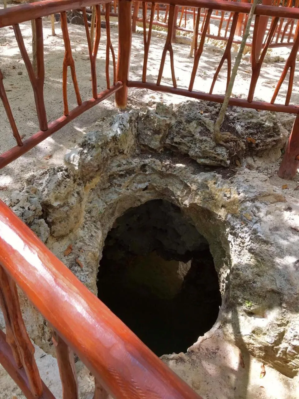 Natural landscape in Aldea Maya-Ha Cabañas con cenotes