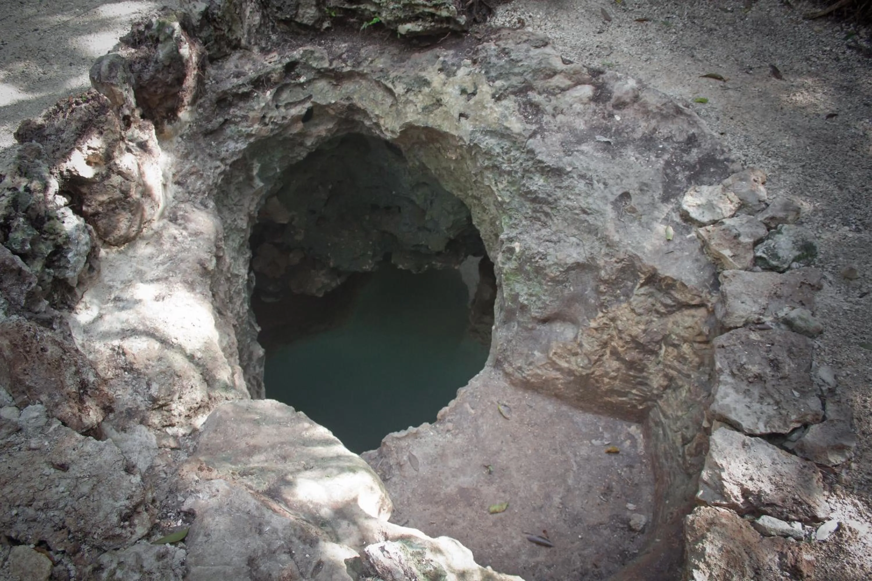 Natural landscape in Aldea Maya-Ha Cabañas con cenotes