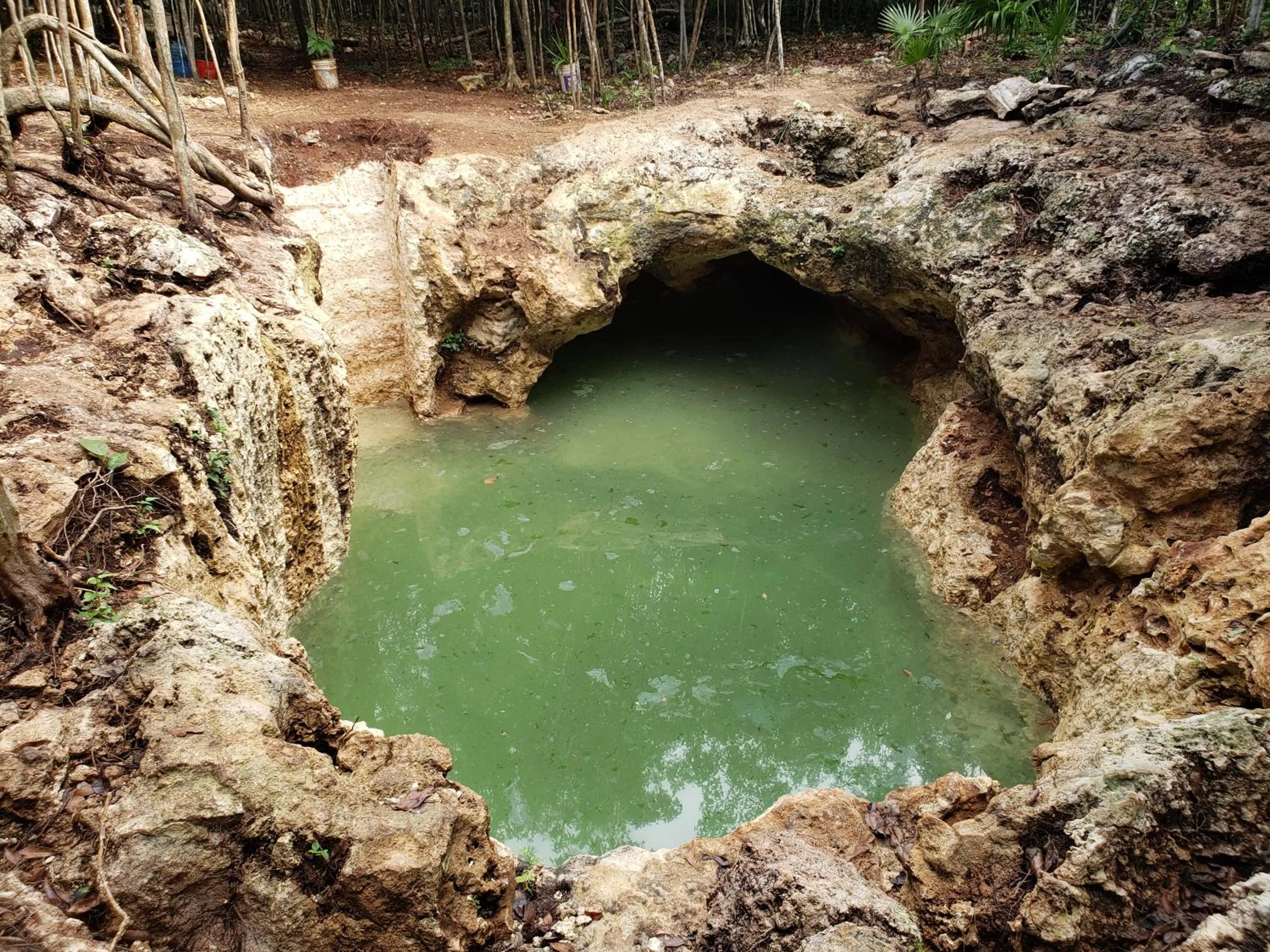 Natural landscape in Aldea Maya-Ha Cabañas con cenotes