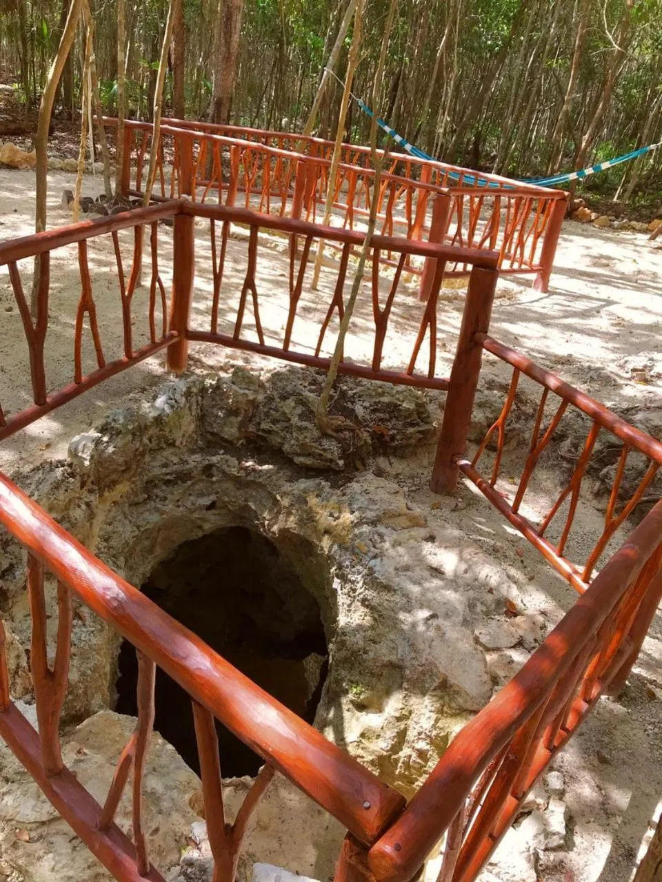 Natural landscape in Aldea Maya-Ha Cabañas con cenotes
