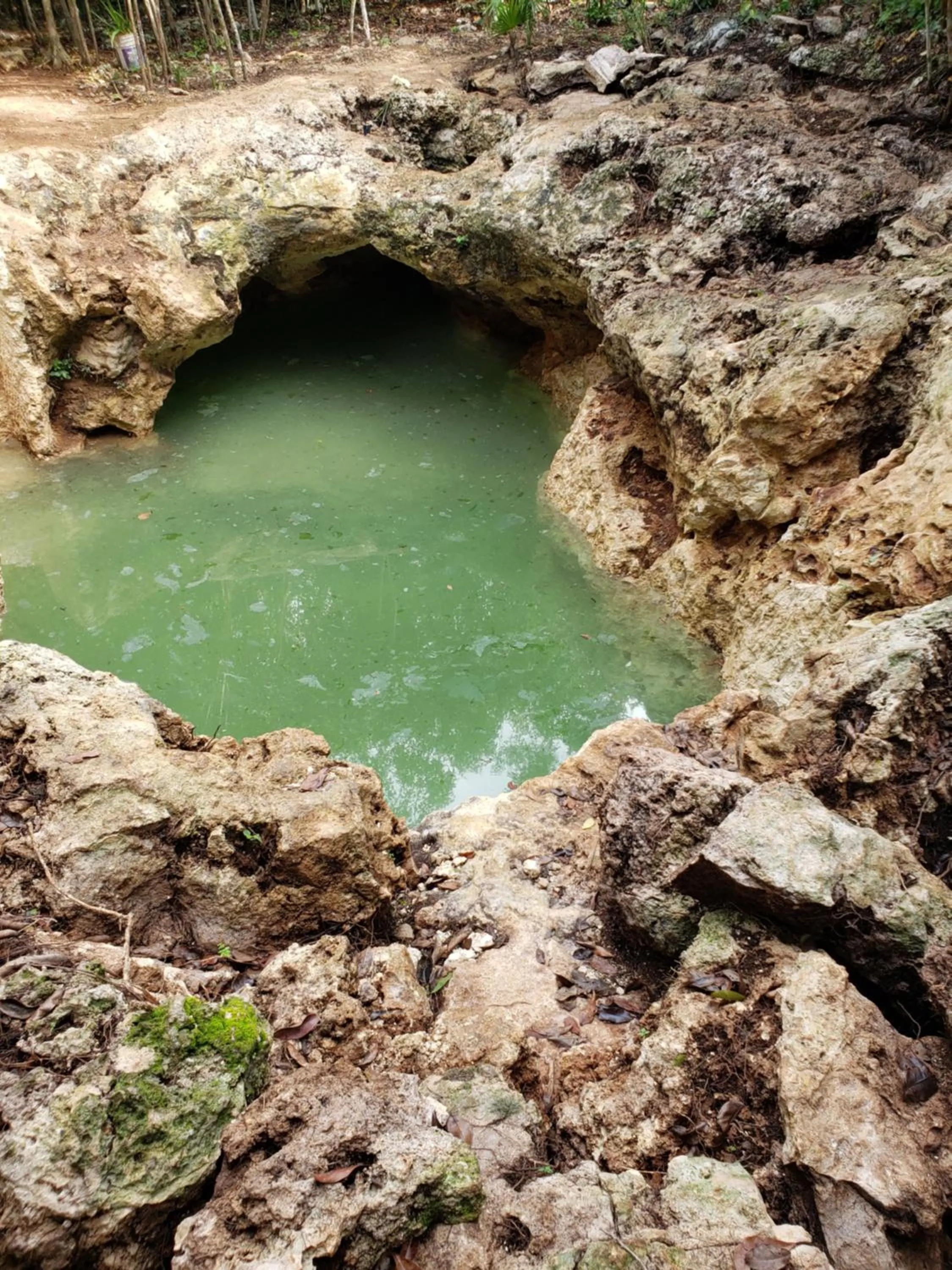 Natural landscape in Aldea Maya-Ha Cabañas con cenotes