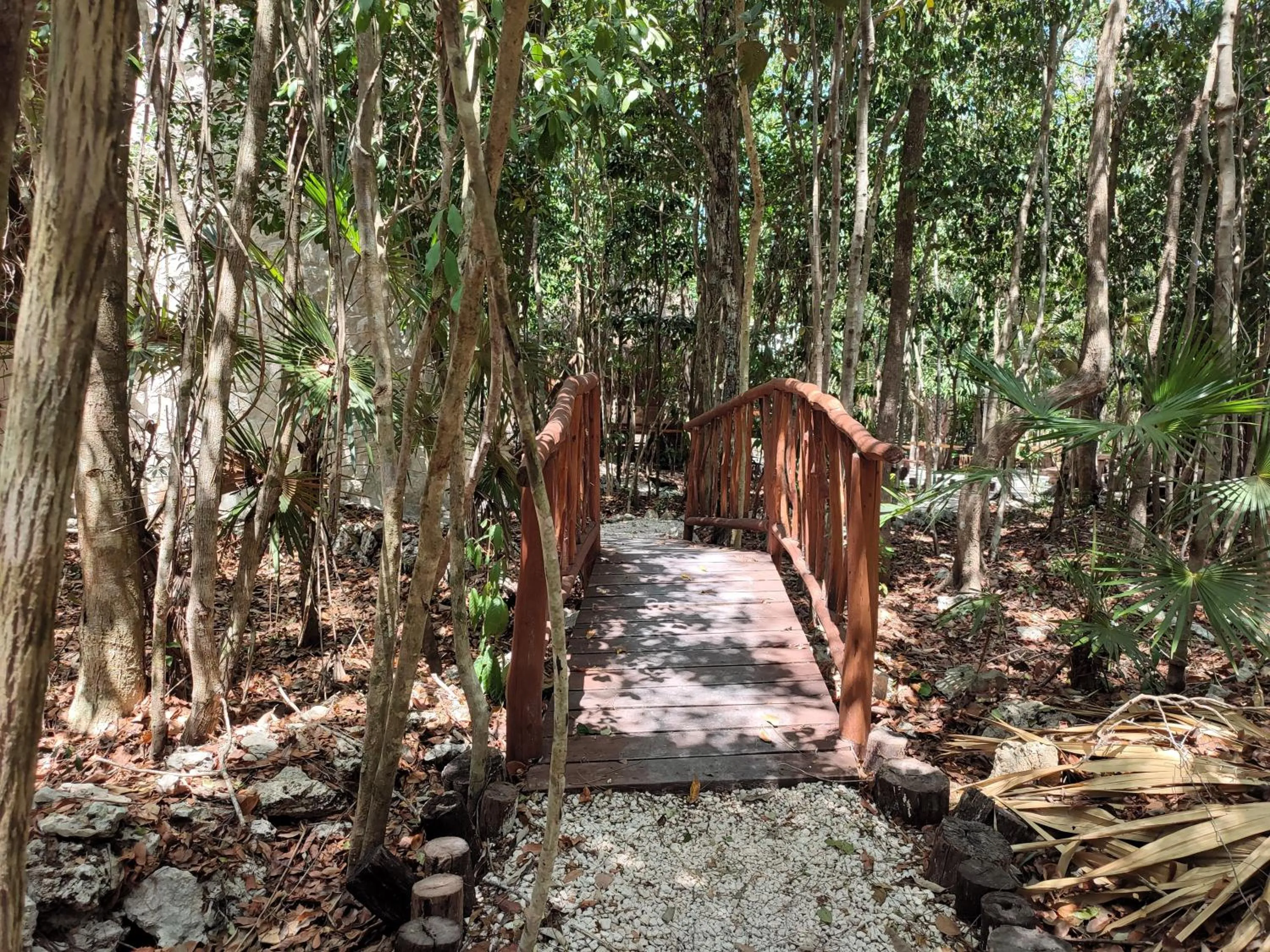 Spring in Aldea Maya-Ha Cabañas con cenotes