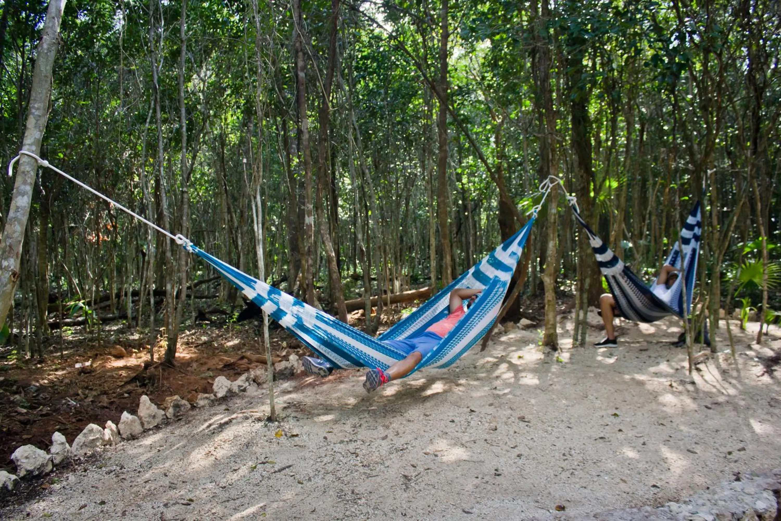 Natural landscape in Aldea Maya-Ha Cabañas con cenotes