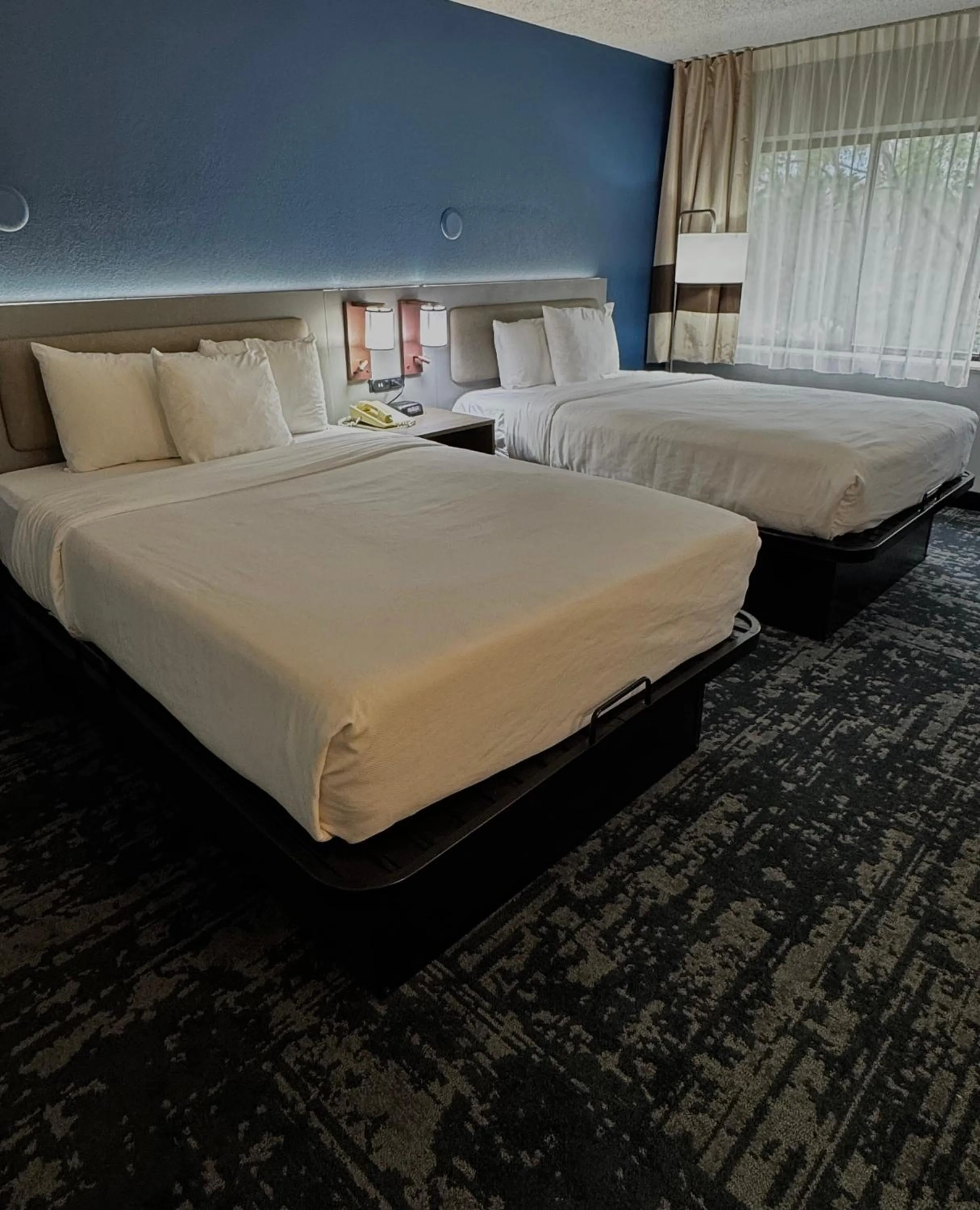 Comfort Inn & Suites Madison - Airport