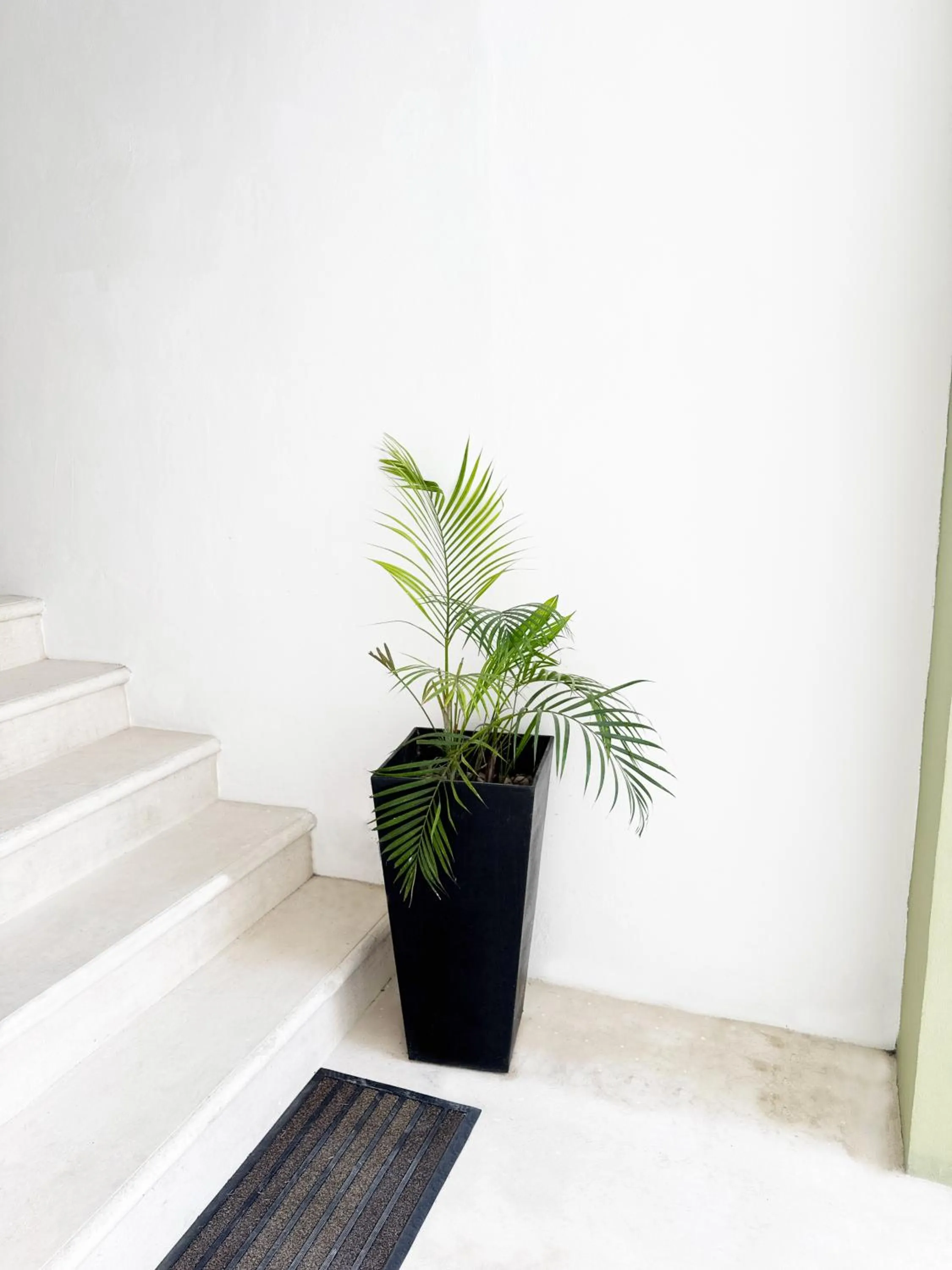 Off site in SILVERSANDS Hotel Boutique - 5Th Ave