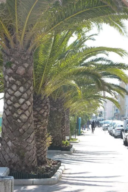 Property building in Perfume Do Mar