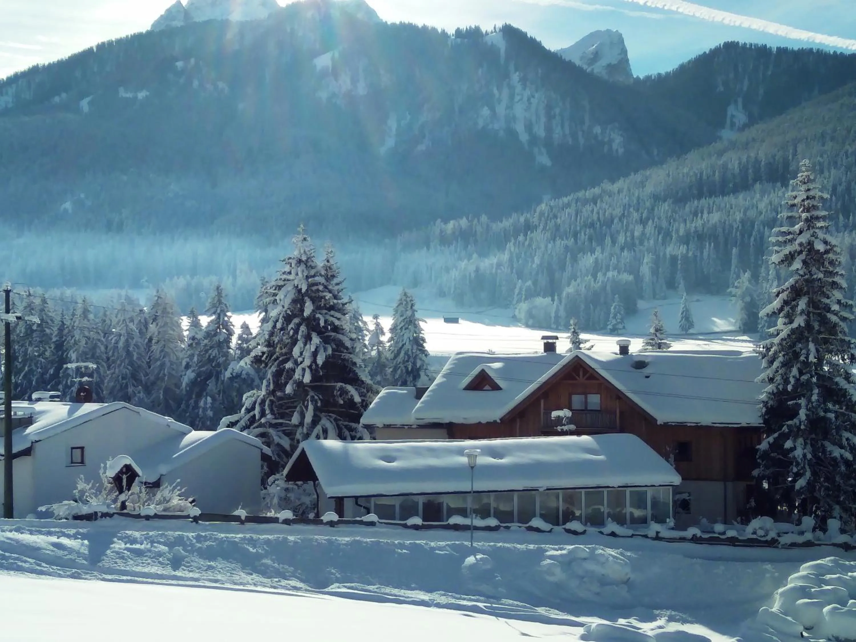 Skiing in Appartments Helvetia