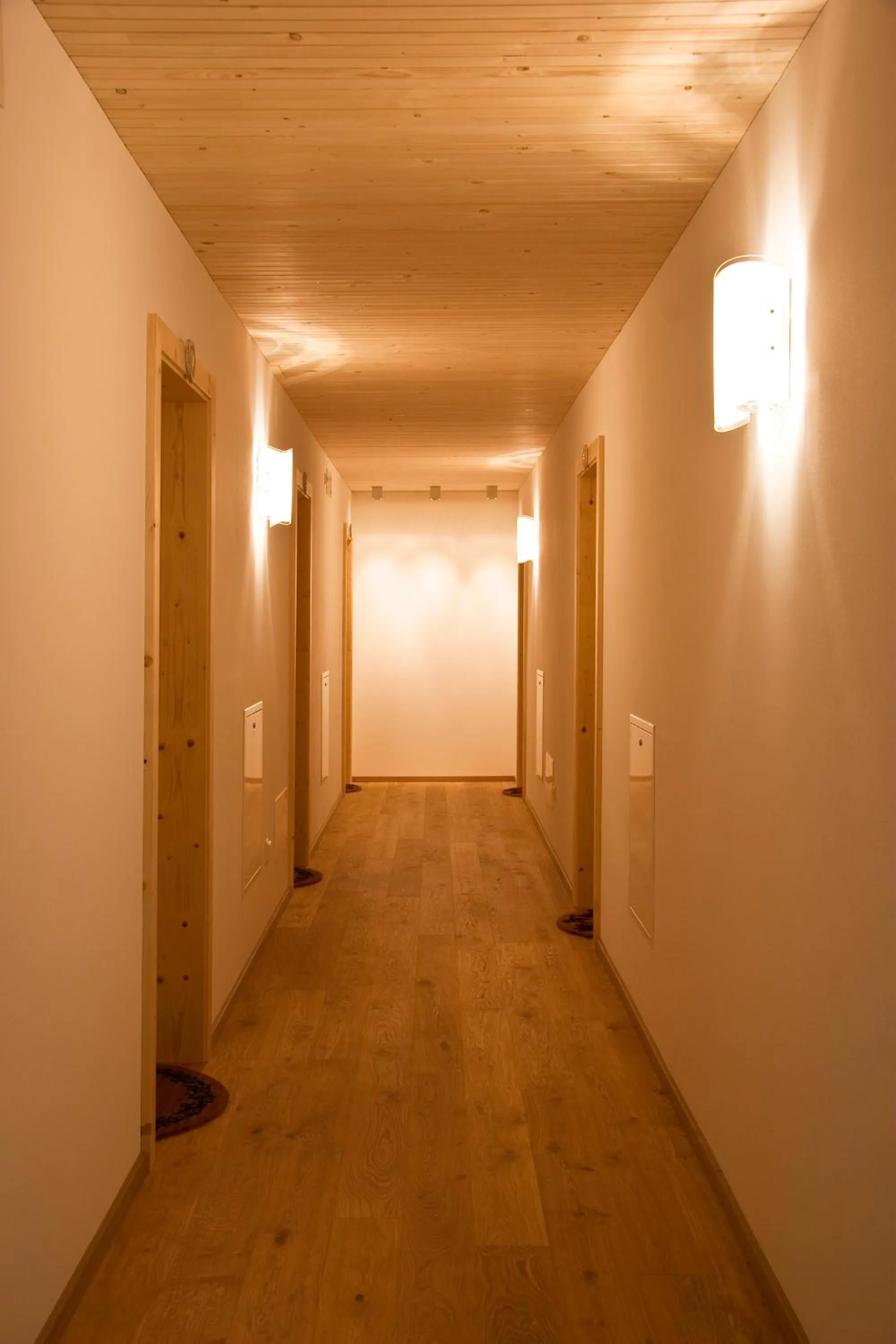 Decorative detail in Appartments Helvetia