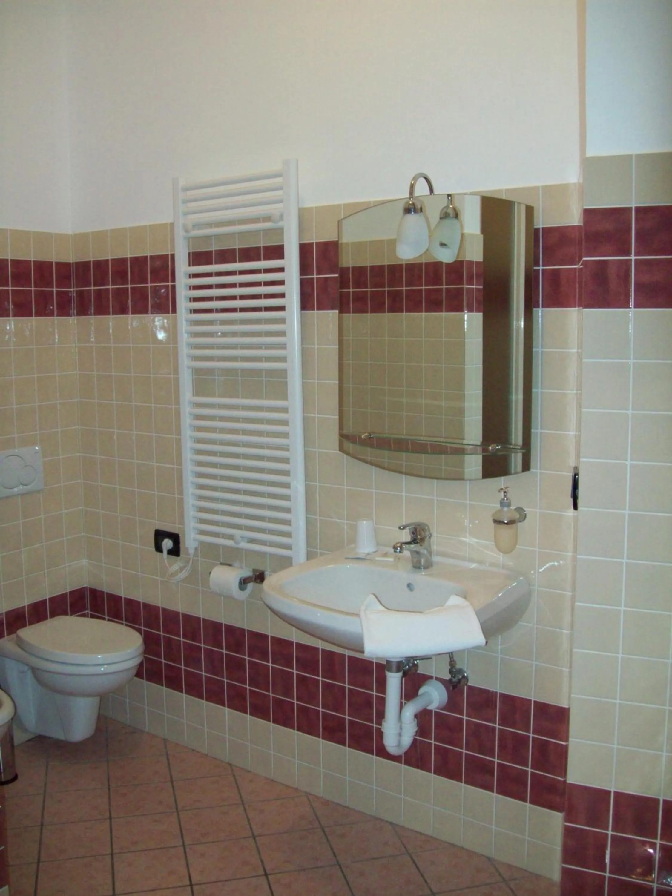 Toilet in Hotel Chopin