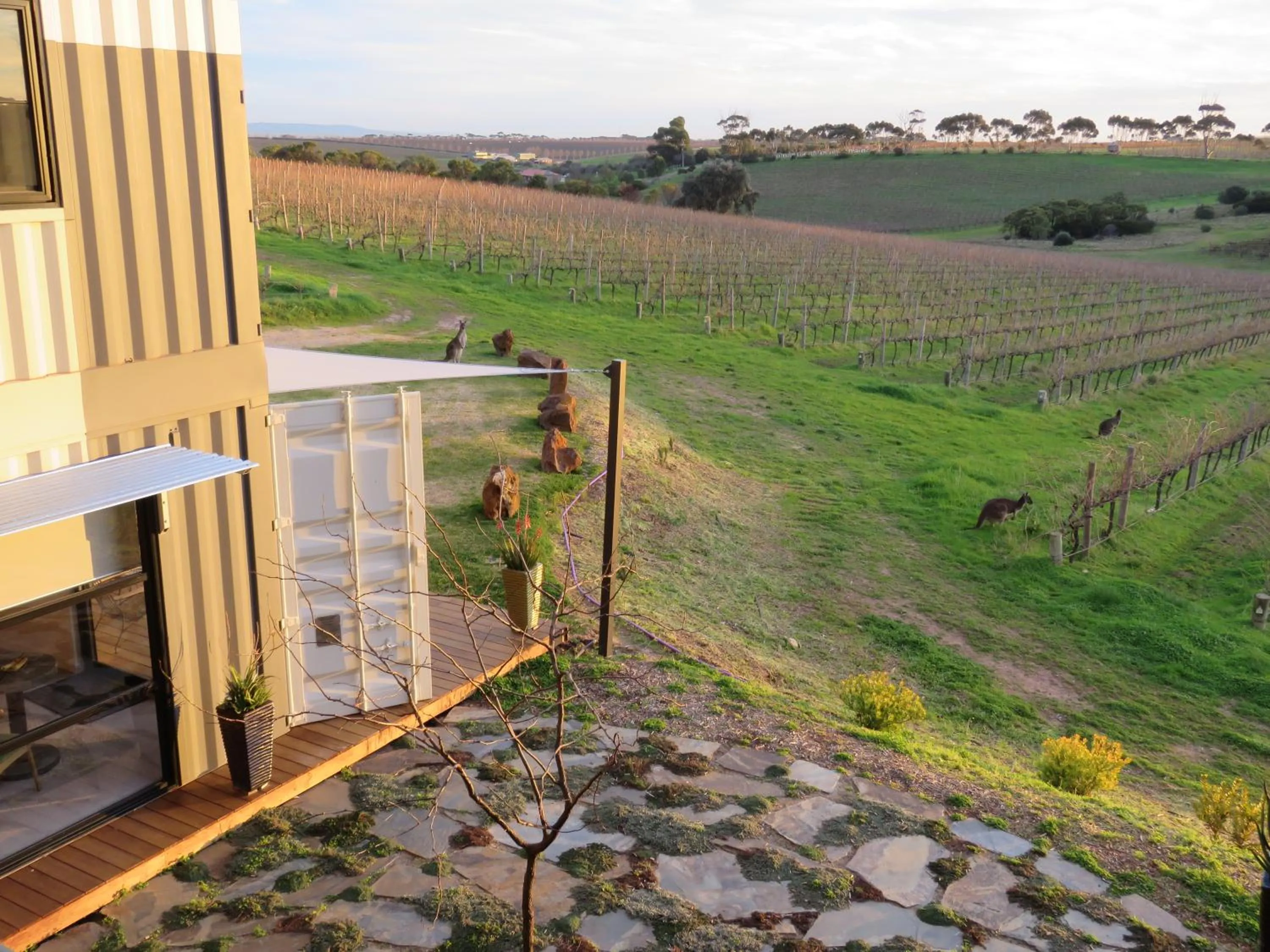 View (from property/room) in Hotel California Road at Inkwell Wines