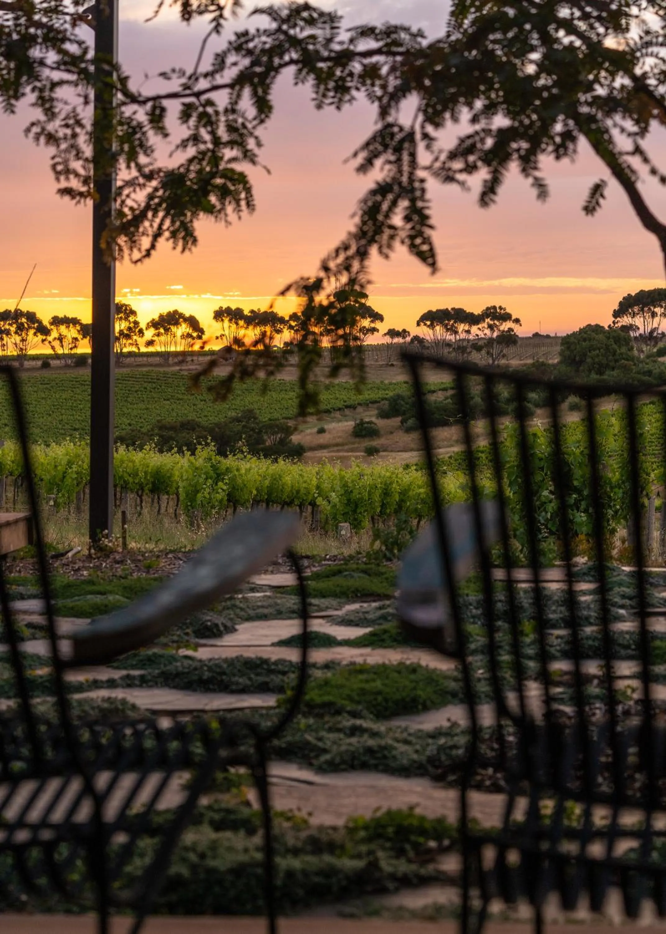 Hotel California Road at Inkwell Wines