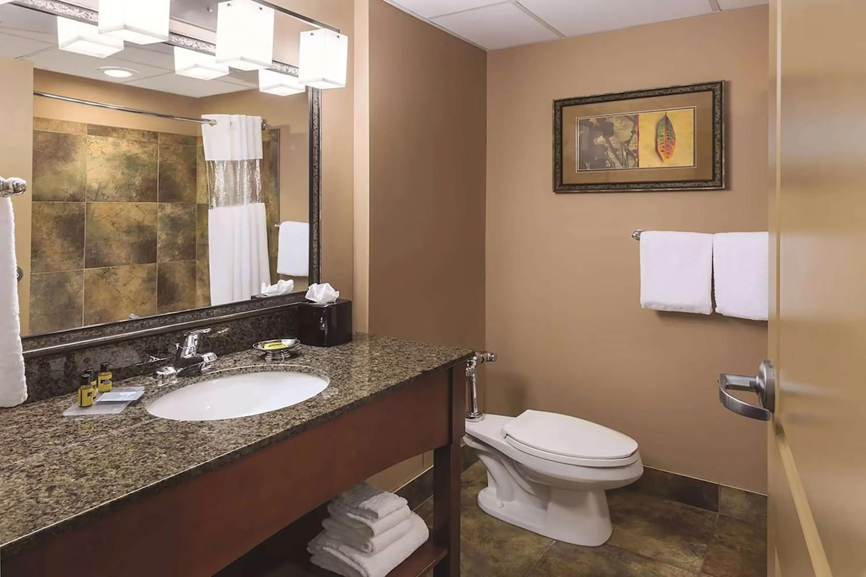 Bathroom in Wyndham Bloomington - Mall of America