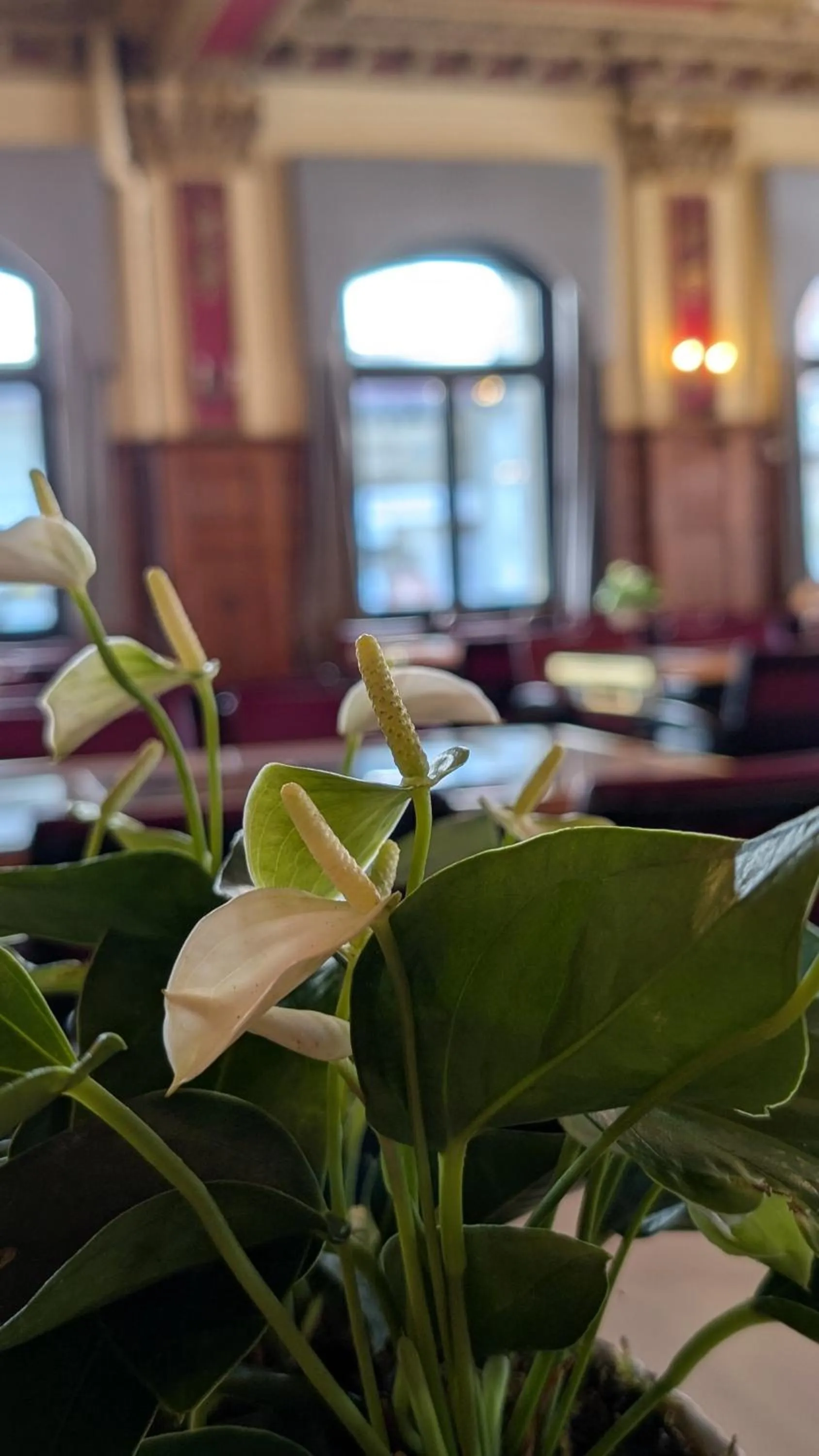 Breakfast in Hotel Harder Minerva