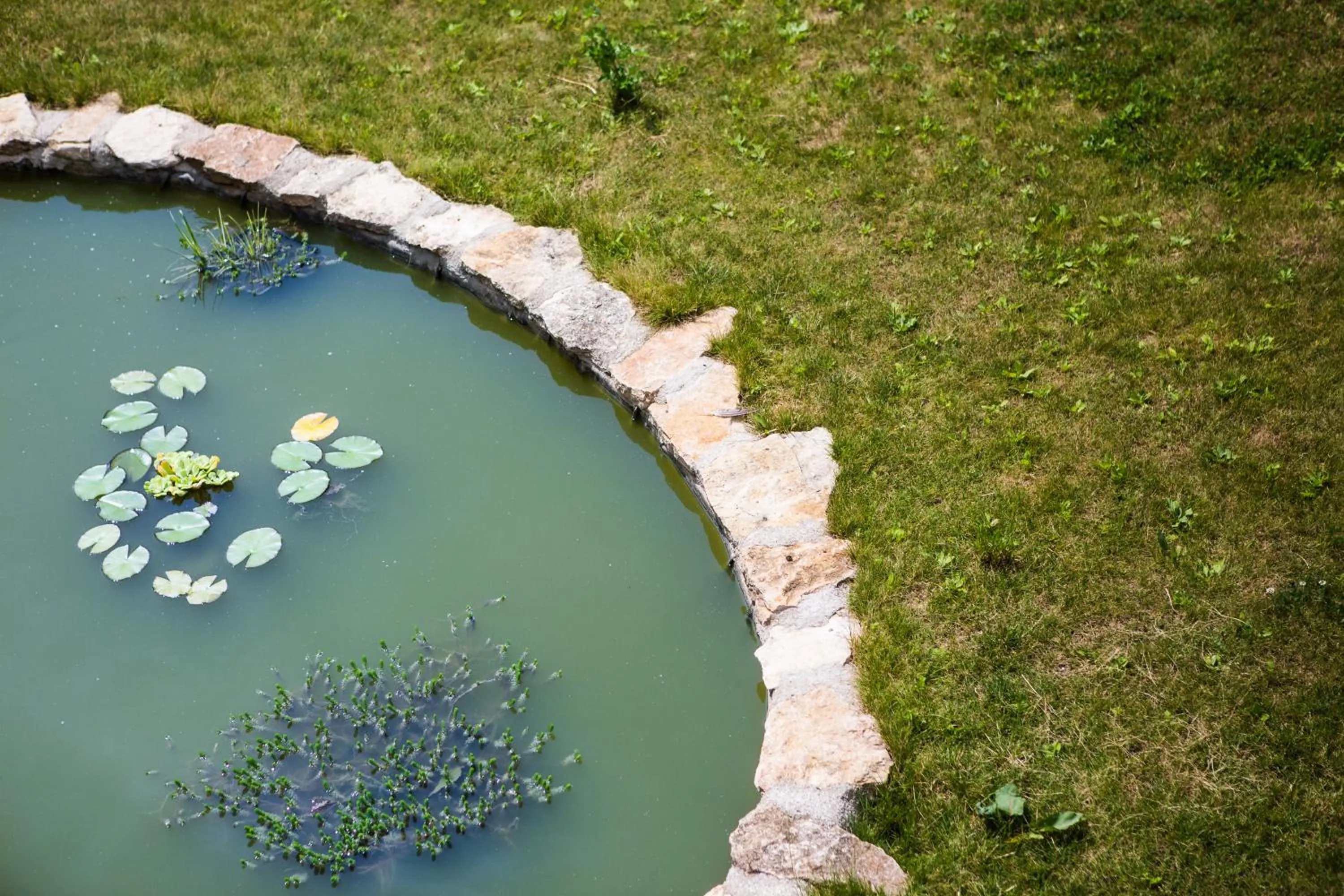 Other in Hostellerie De Bretonnière - Groupe Logis Hotels