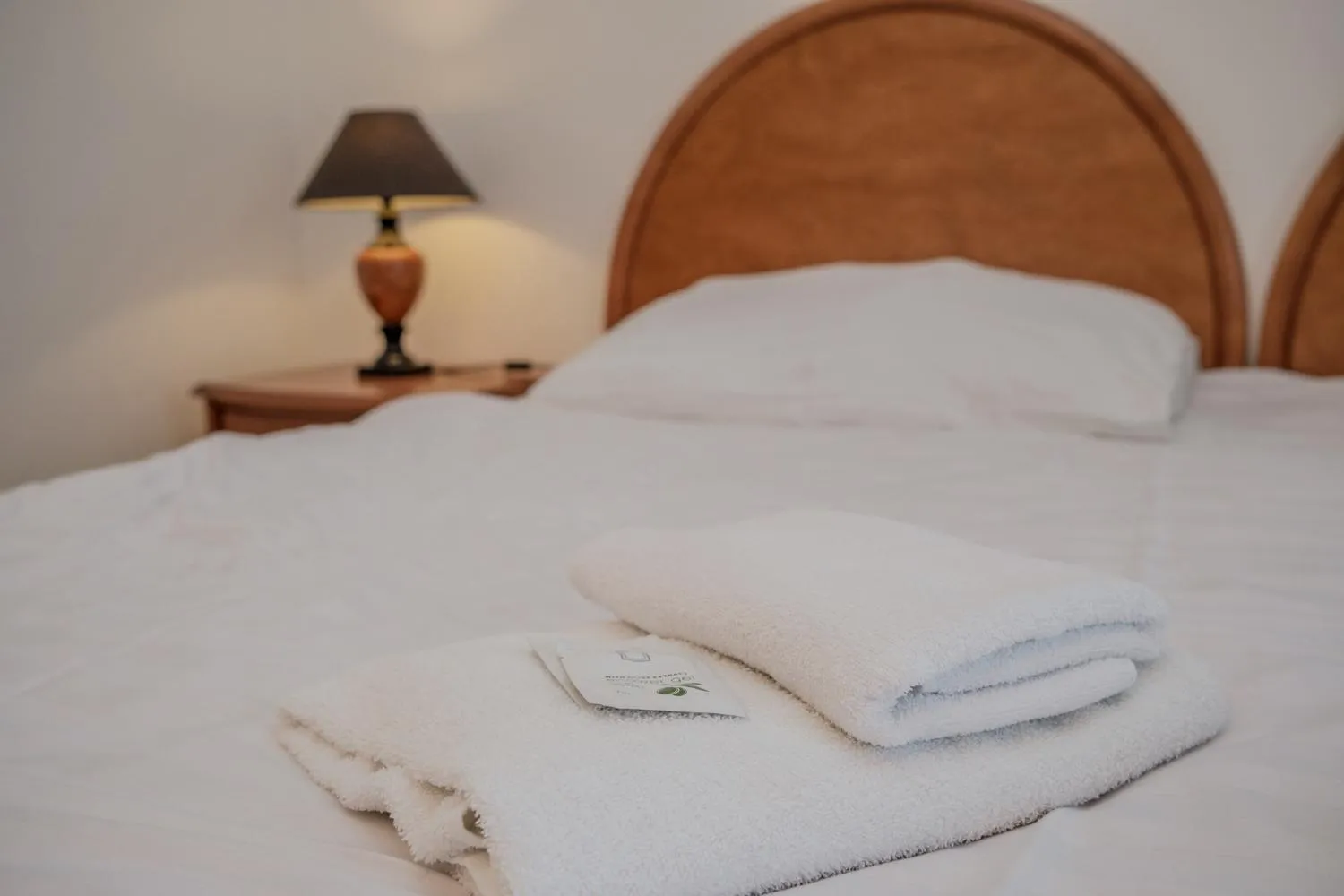 Bed in Hotel Barborka