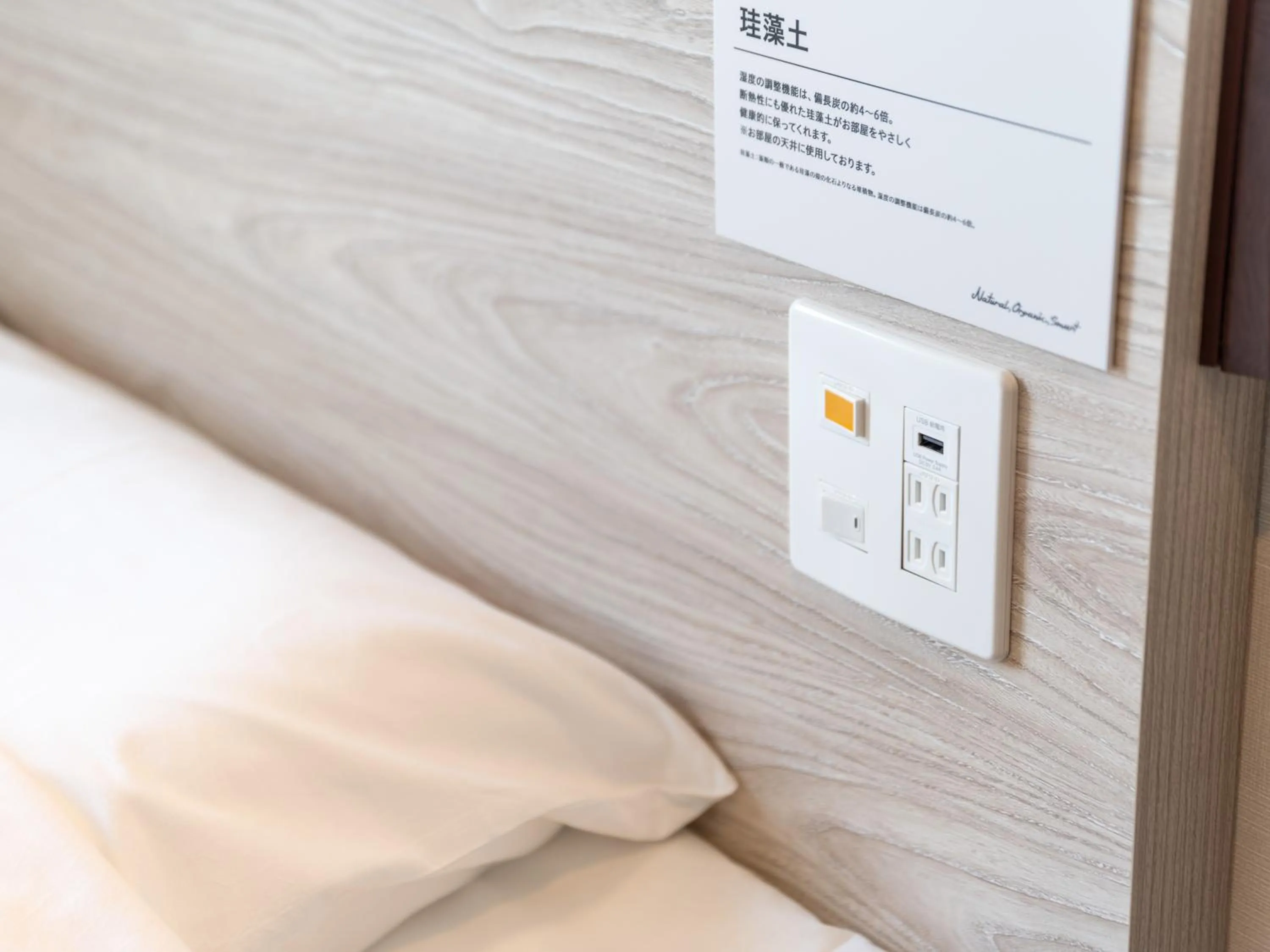 Decorative detail in Super Hotel Ishikari