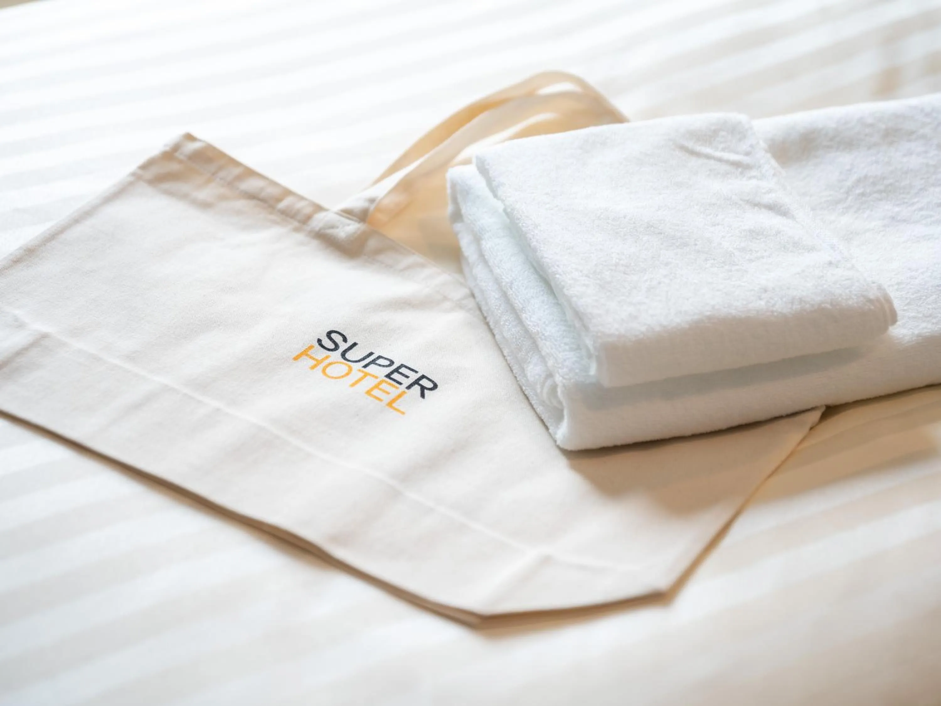 Decorative detail in Super Hotel Ishikari