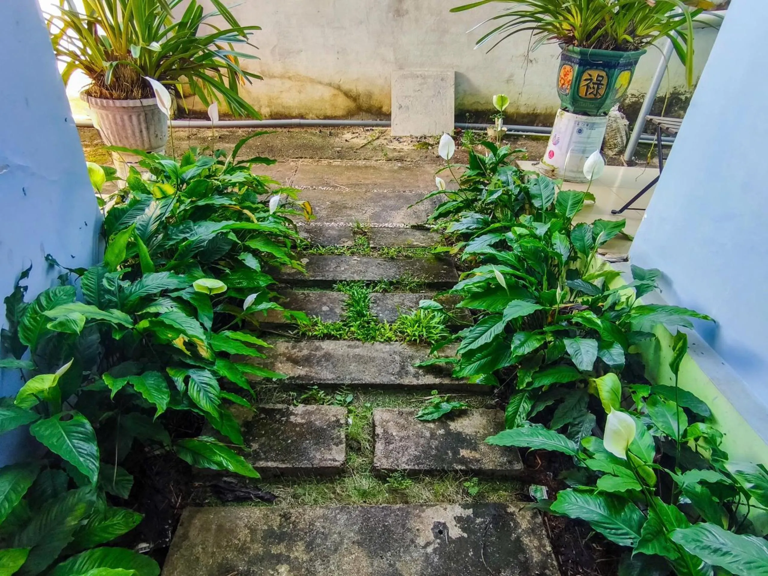 Natural landscape in Nhà Nghỉ THẢO NGUYÊN XANH