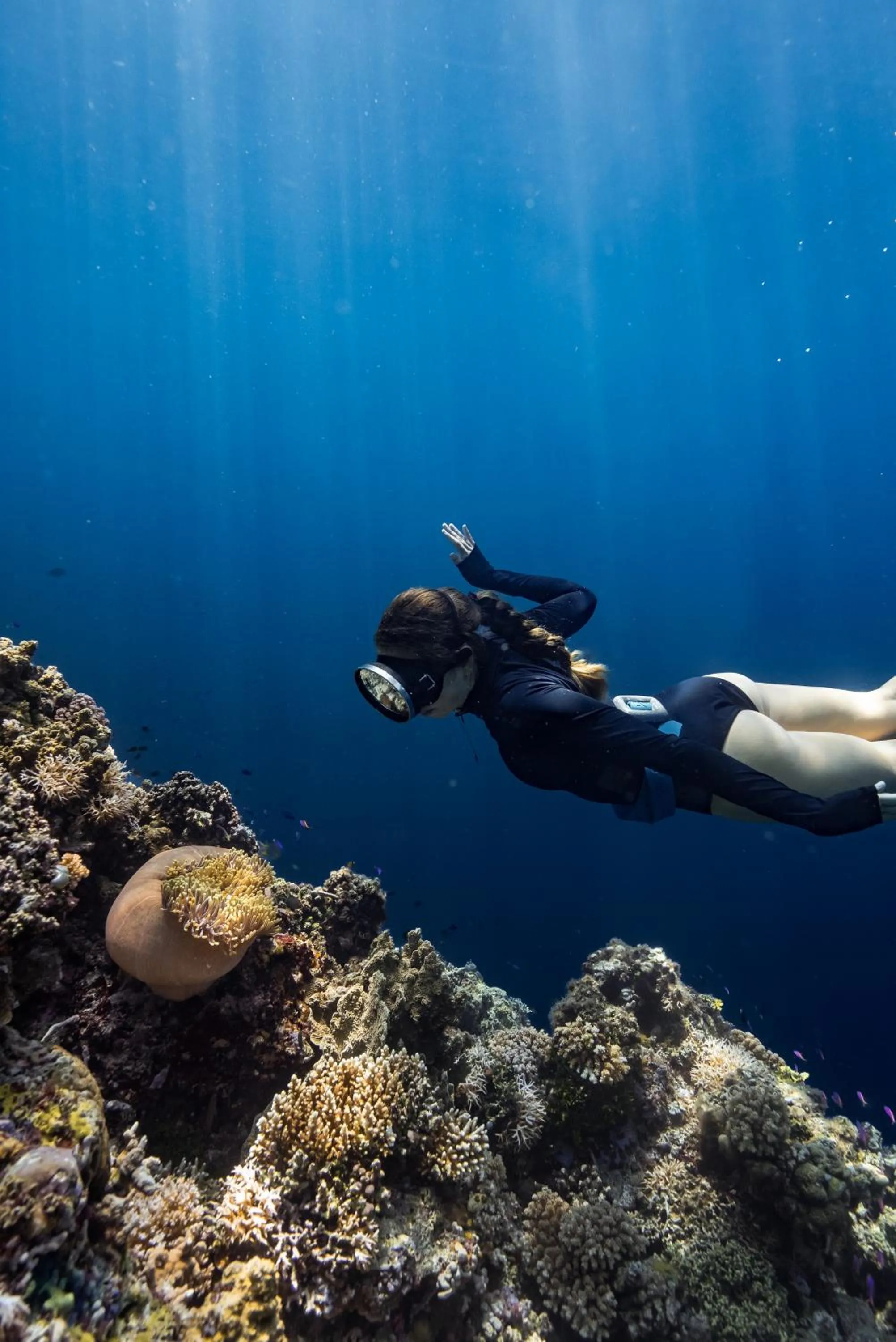 Reconnect - Private Island Resort & Dive Center Togean - Buka Buka Island