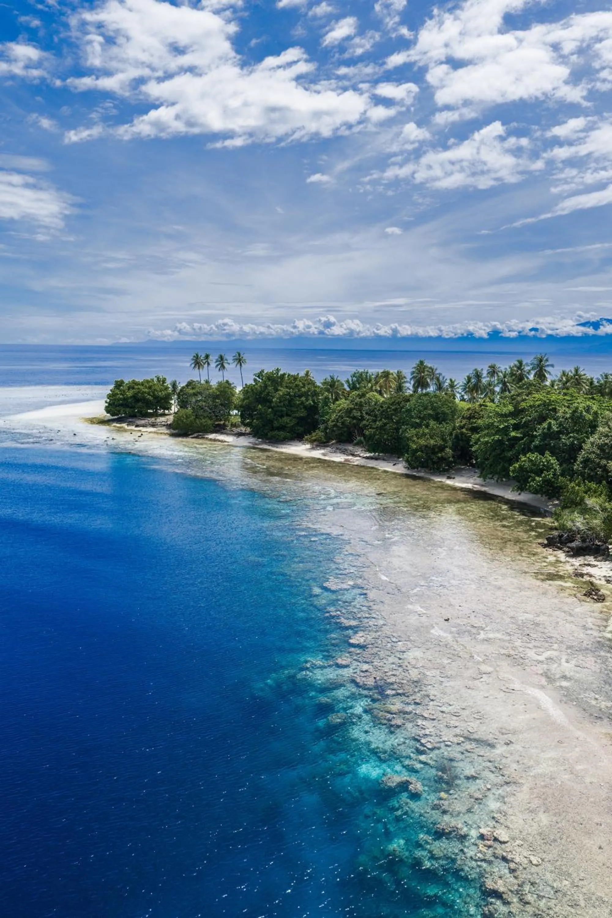 Reconnect - Private Island Resort & Dive Center Togean - Buka Buka Island