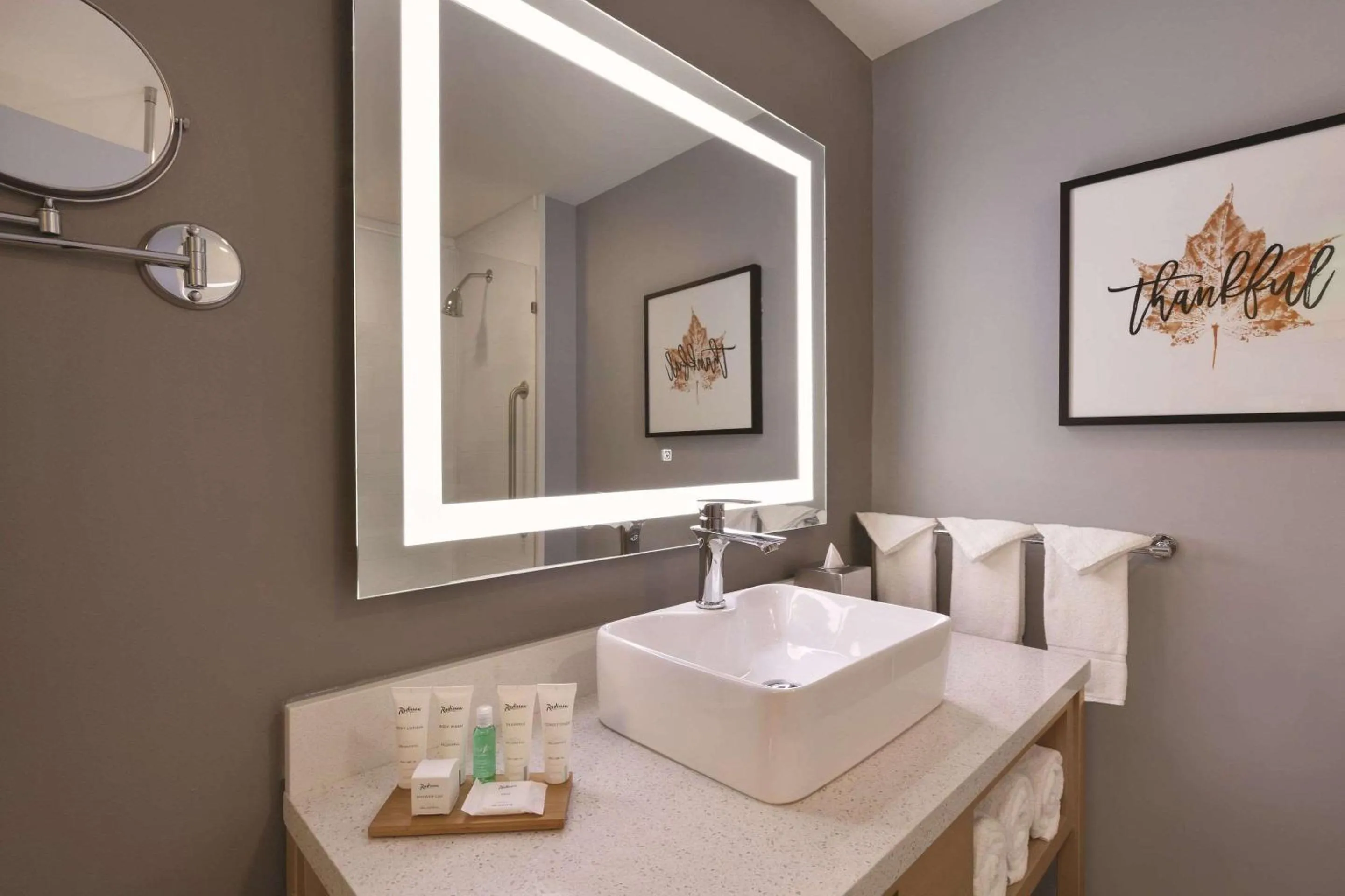 Bathroom in Radisson Hotel Atlanta Airport