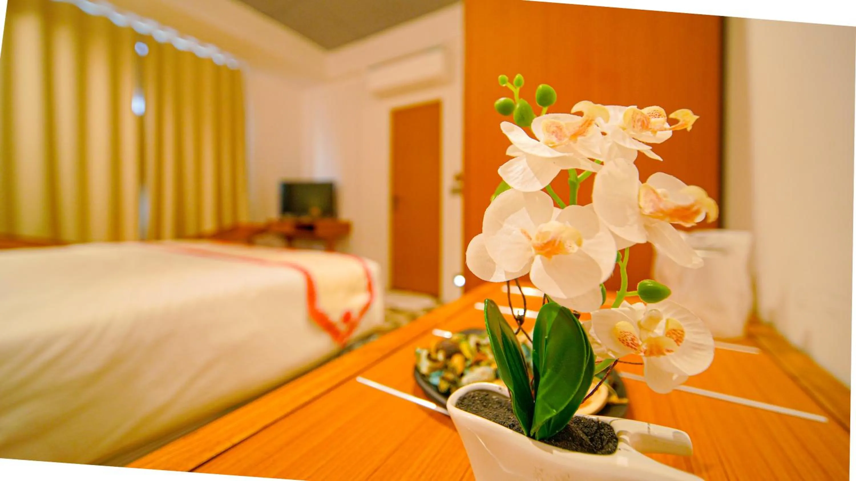 Bed in Hotel Nova Boutique