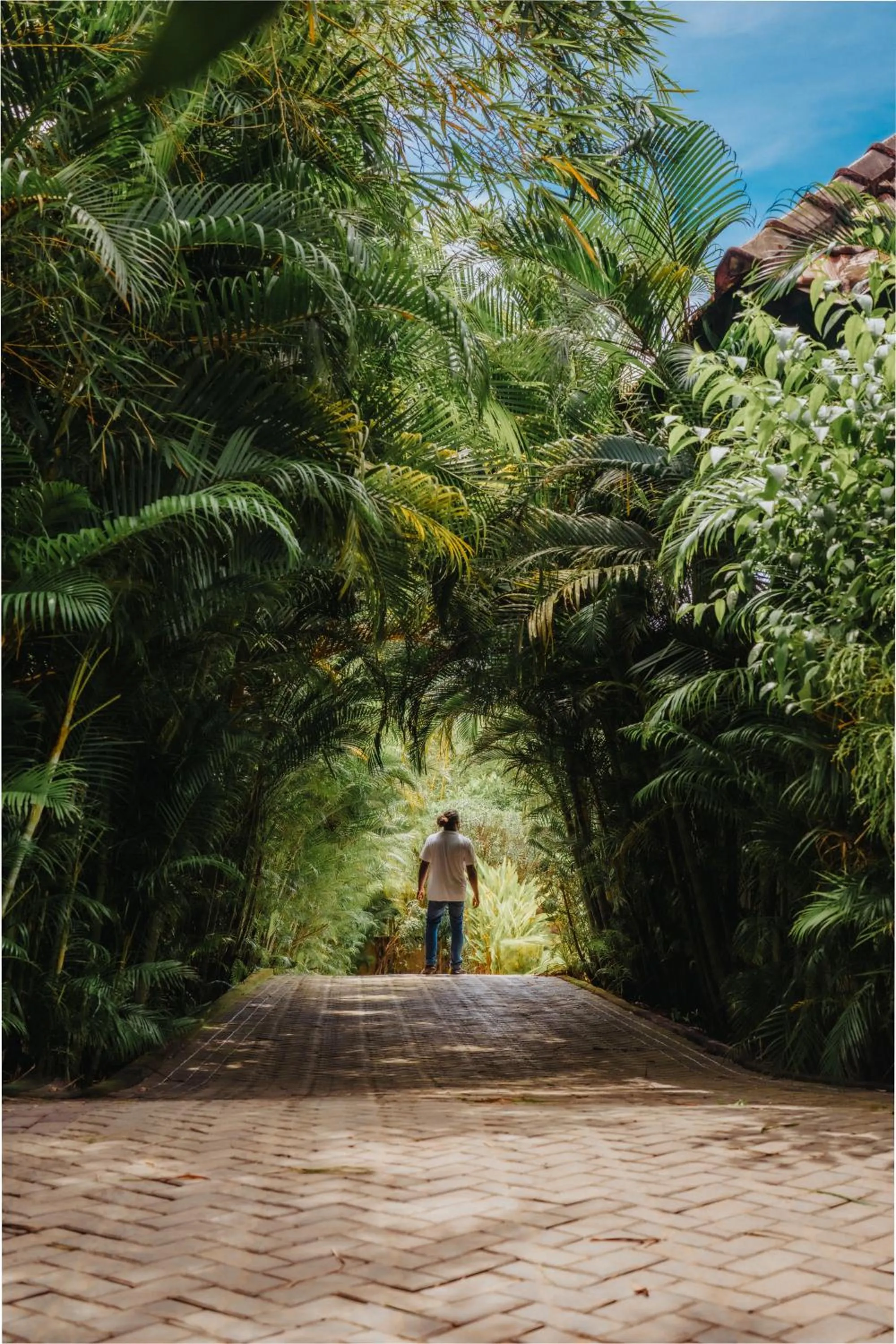 Guests in Aadisaktthi Leisure Resort, Kovalam