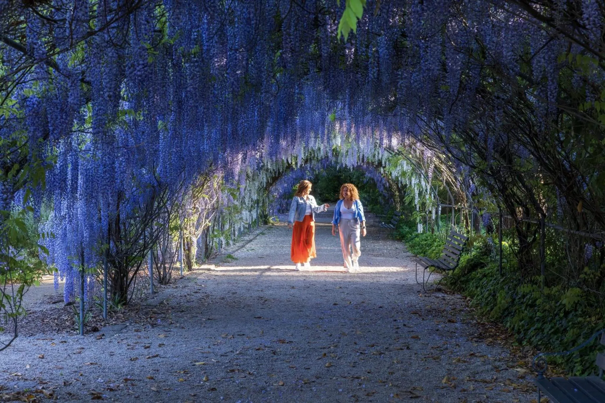 Nearby landmark in Crowne Plaza Adelaide by IHG