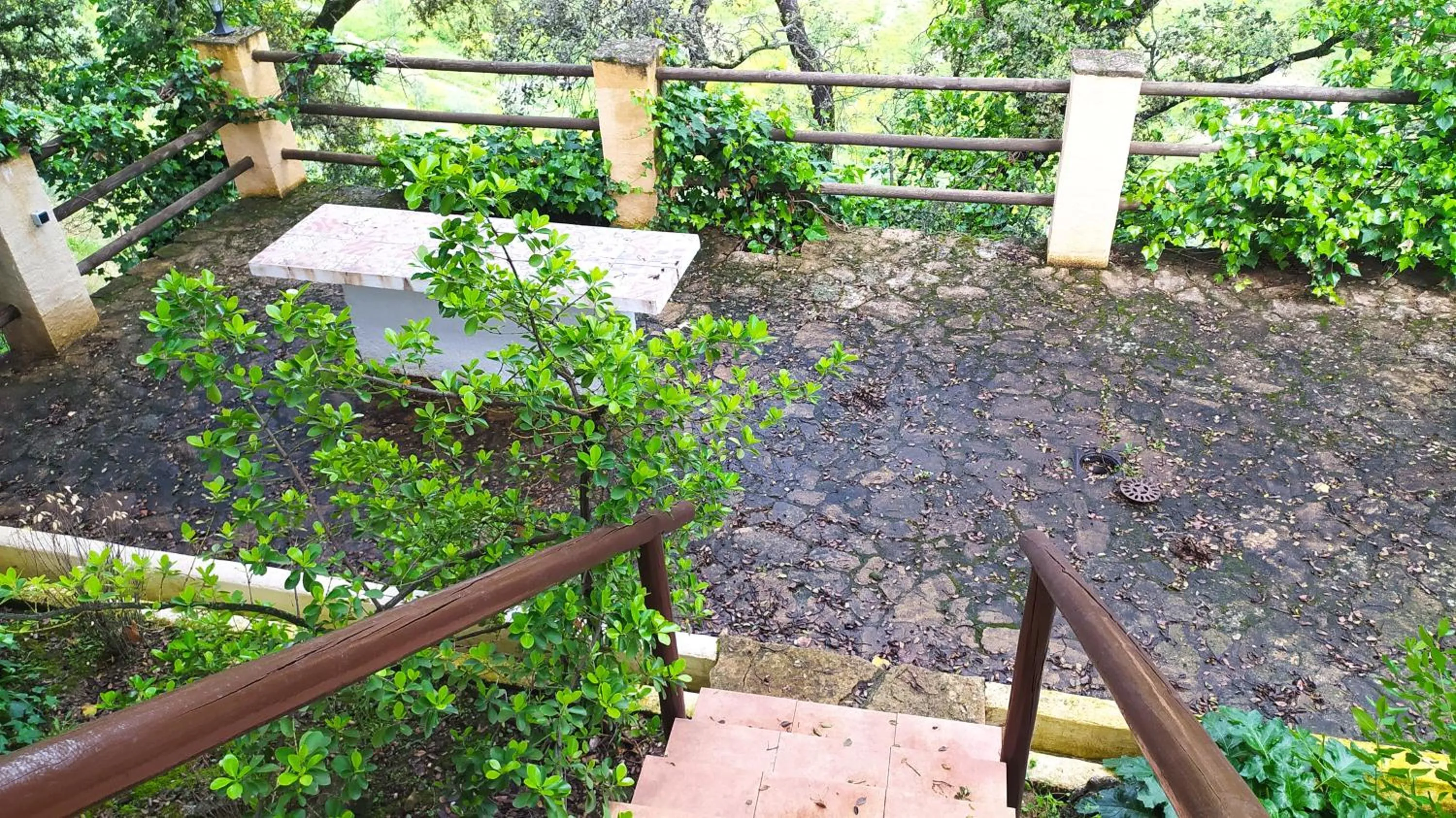 Cortijo Molino los Justos