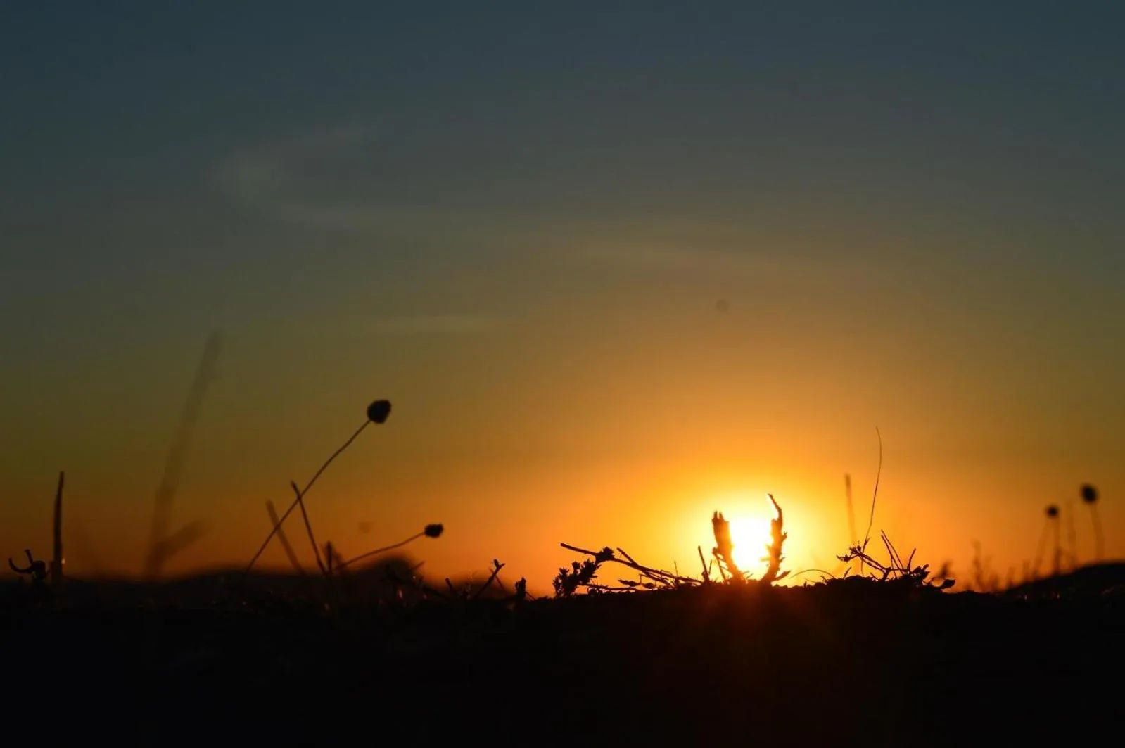 Cortijo Molino los Justos
