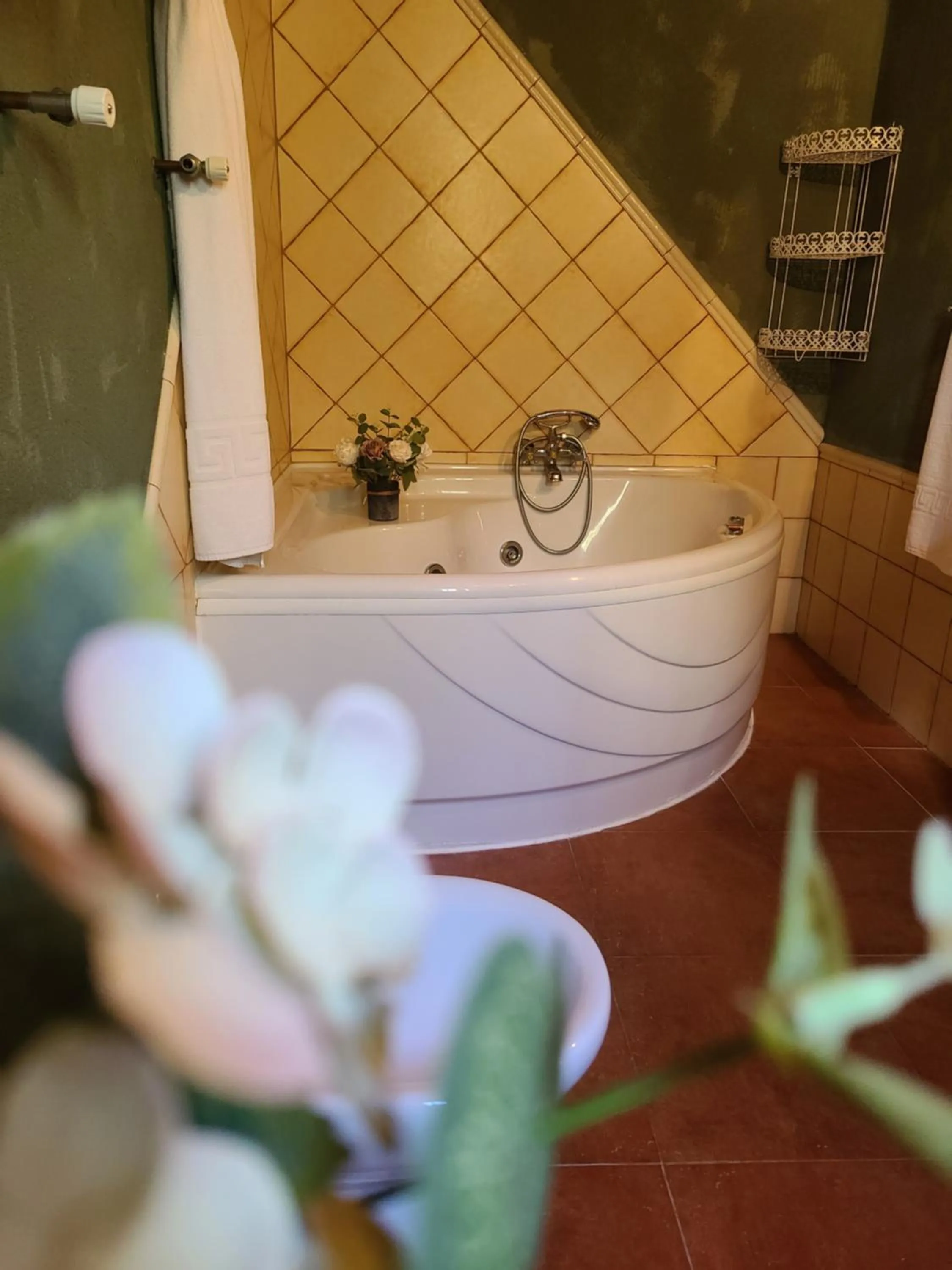 Cortijo Molino los Justos