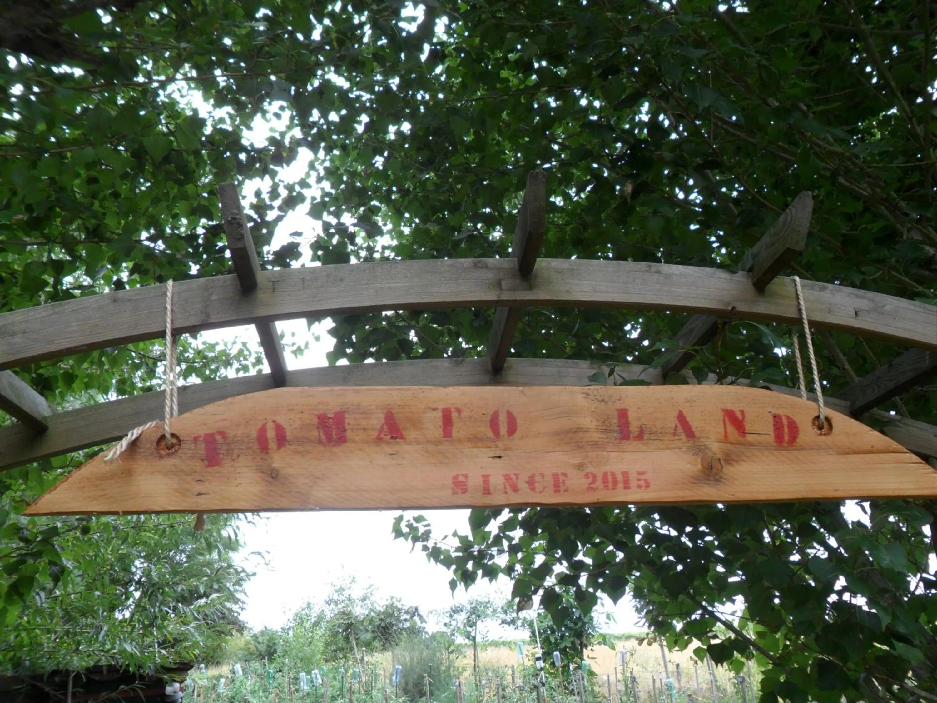 Garden in Chambres d'Hôtes La Turone