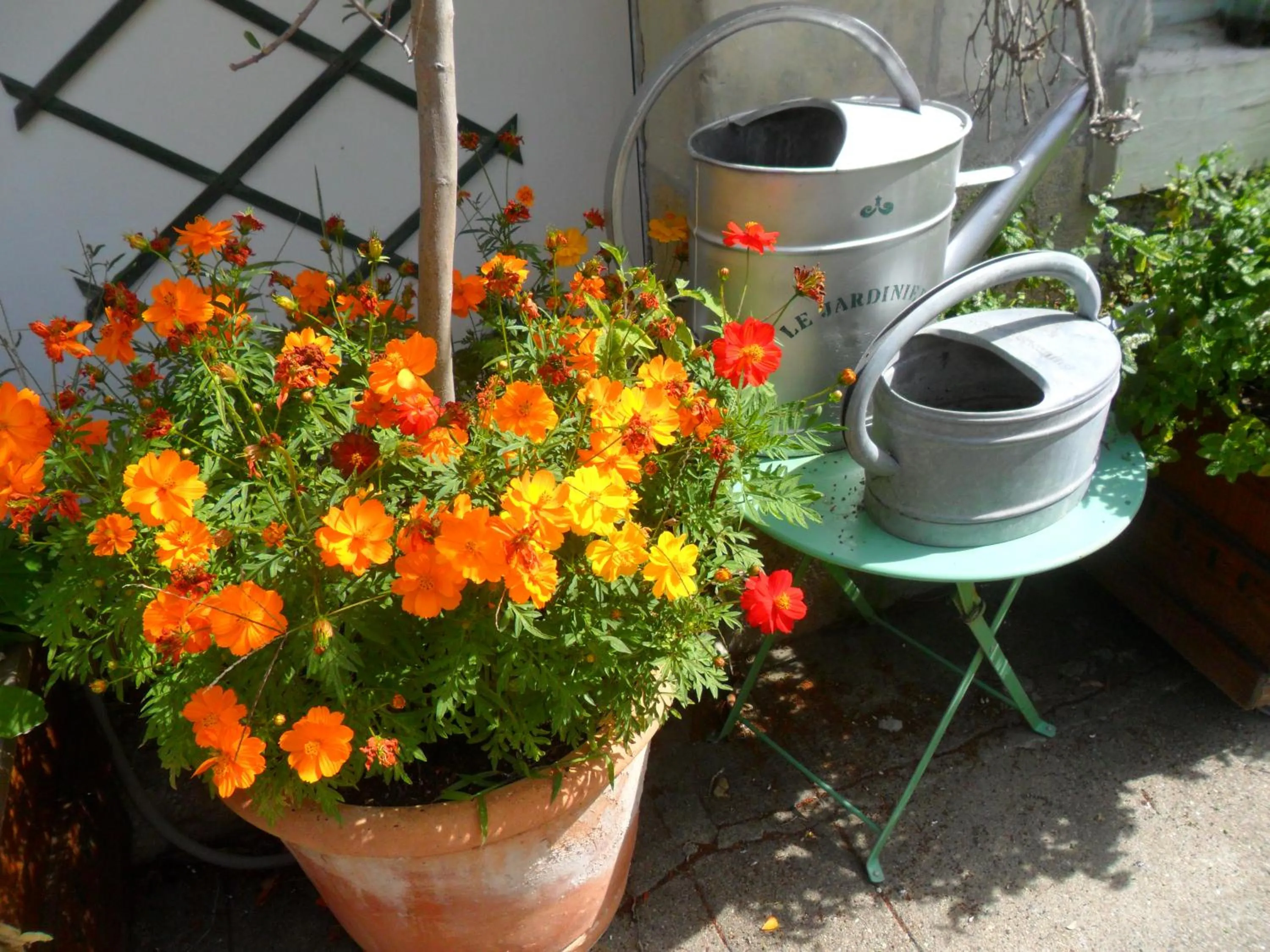 Patio in Chambres d'Hôtes La Turone