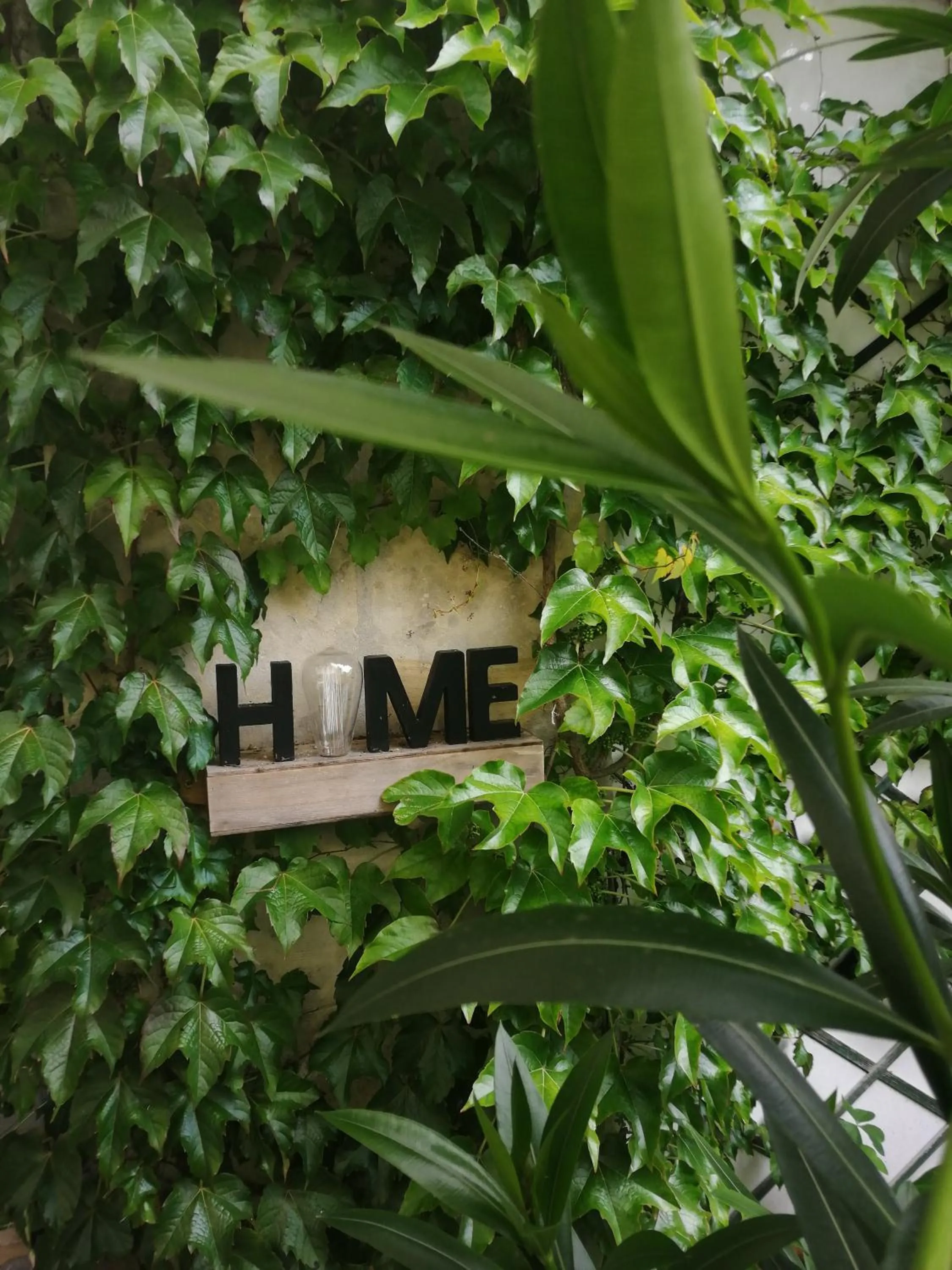 Chambres d'Hôtes La Turone