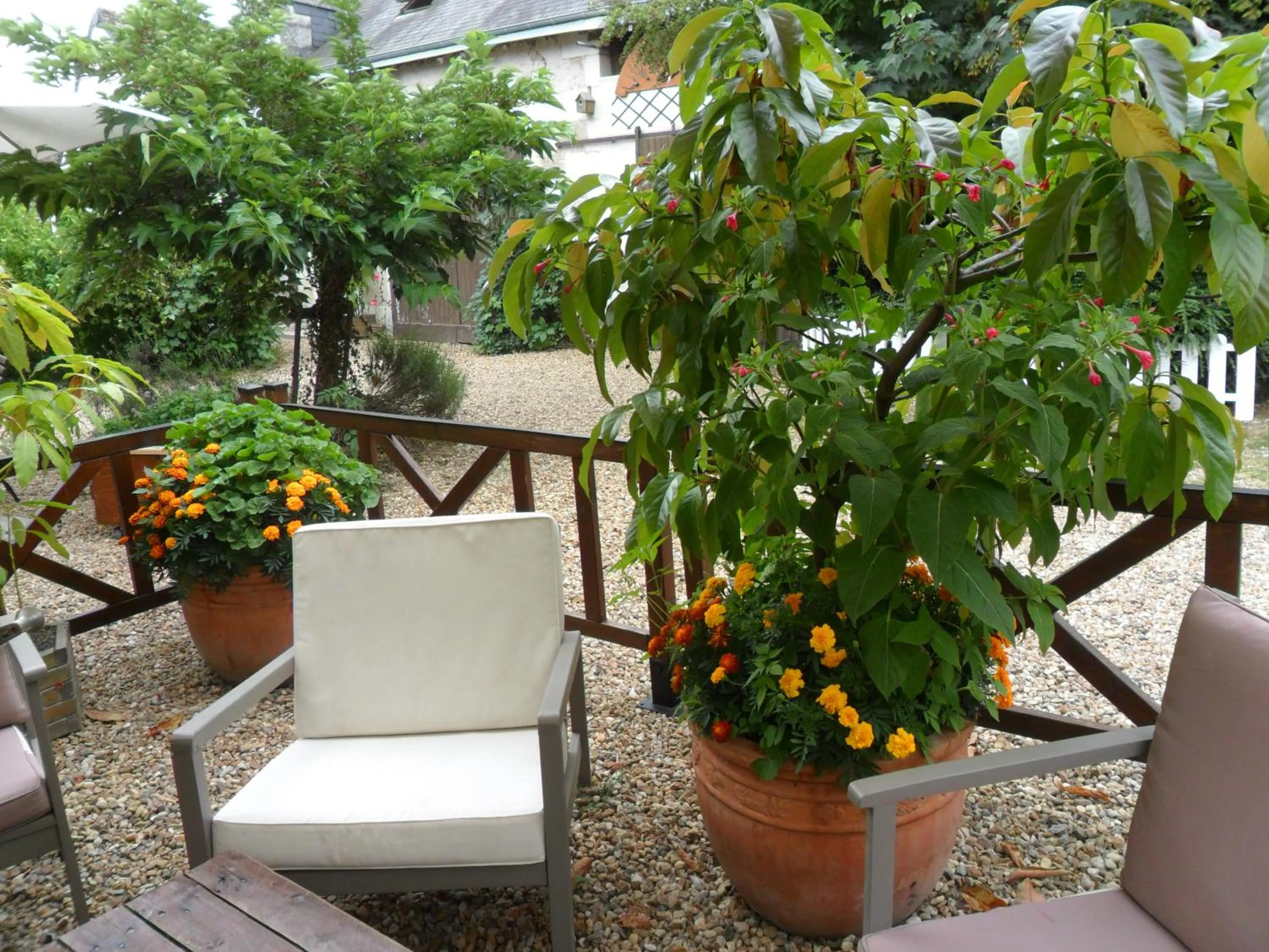 Patio in Chambres d'Hôtes La Turone