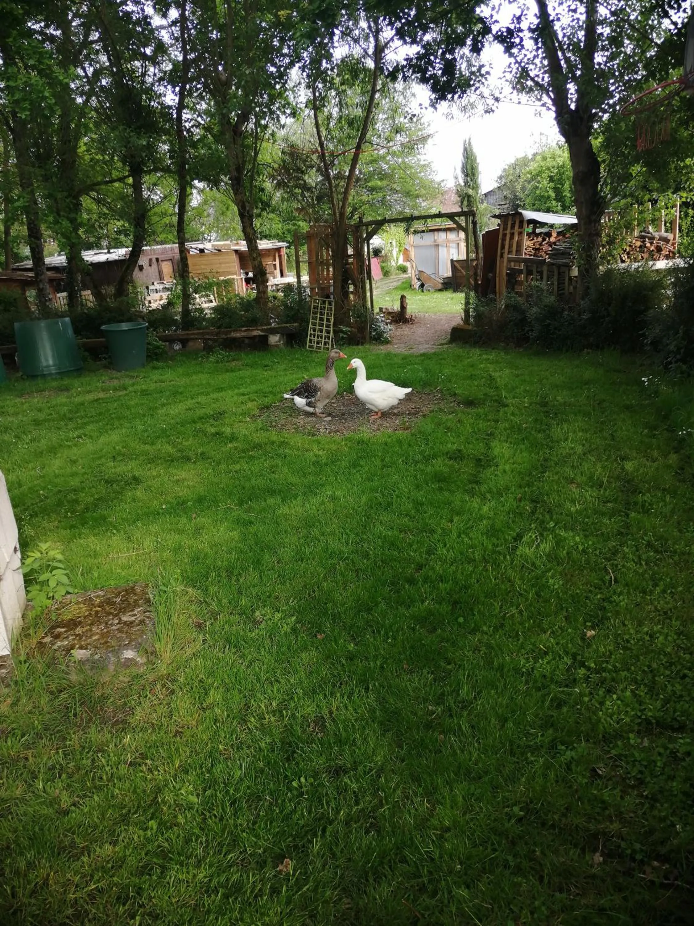 Chambres d'Hôtes La Turone