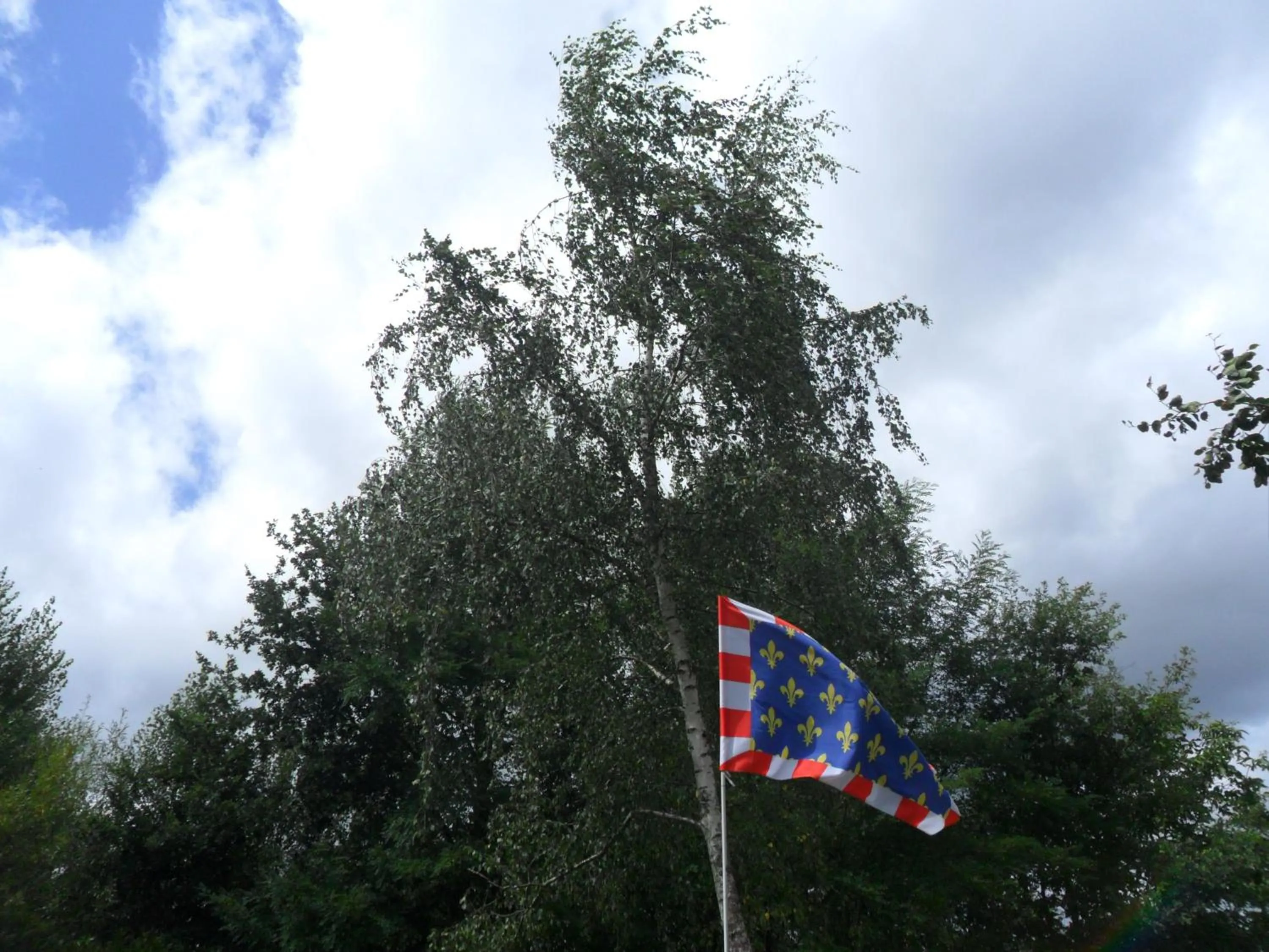 Garden in Chambres d'Hôtes La Turone
