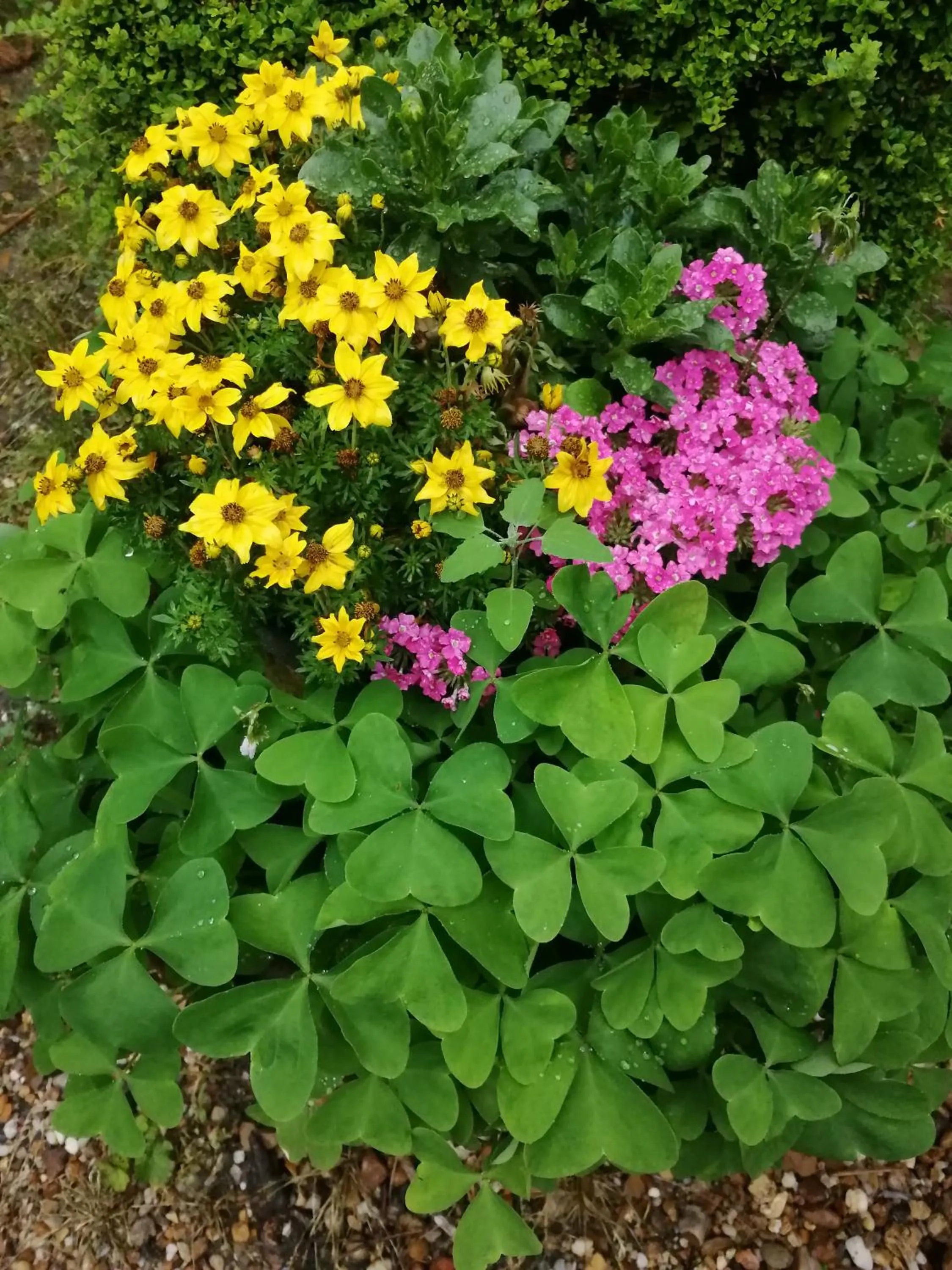 Chambres d'Hôtes La Turone
