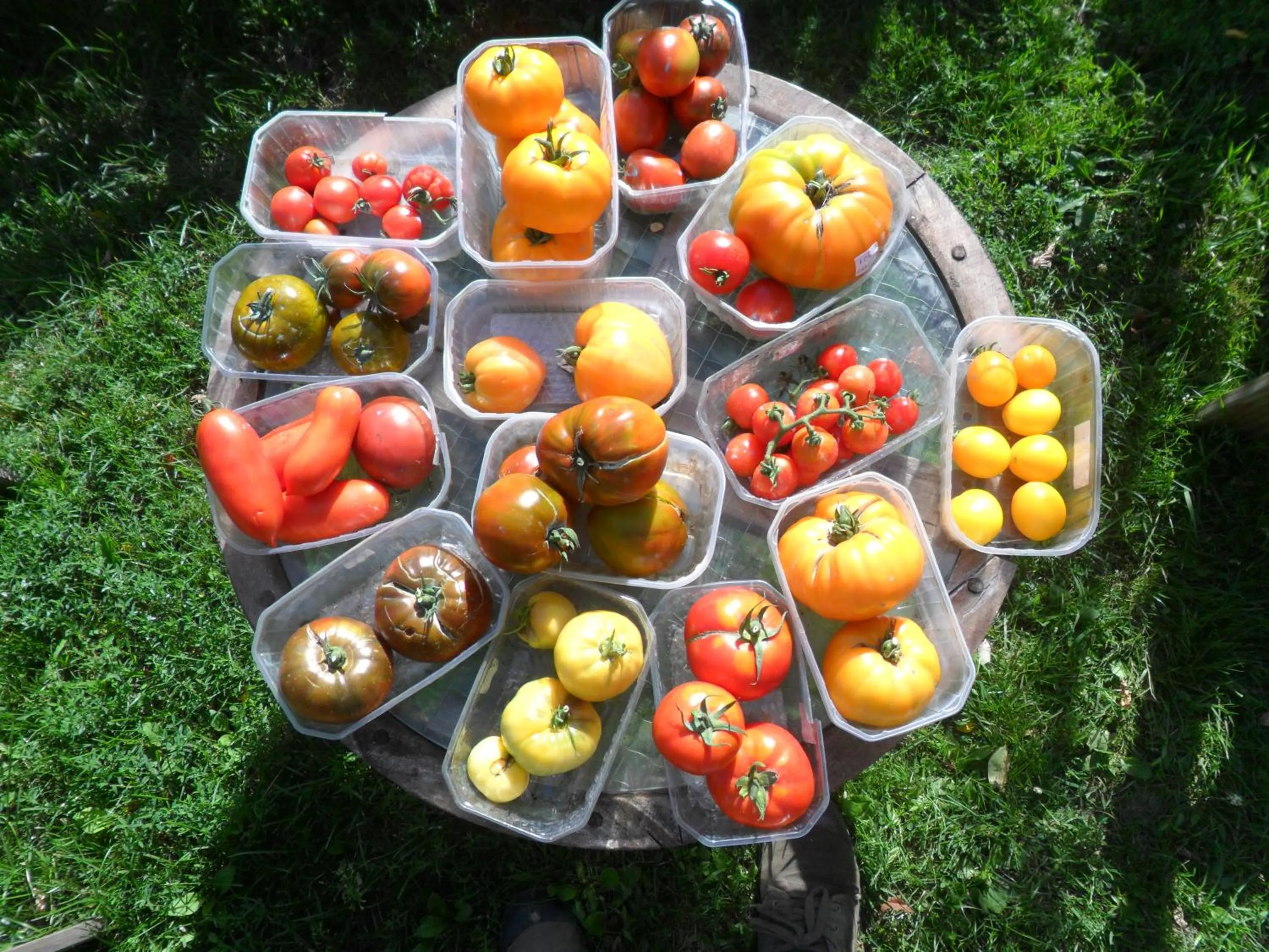 Garden in Chambres d'Hôtes La Turone