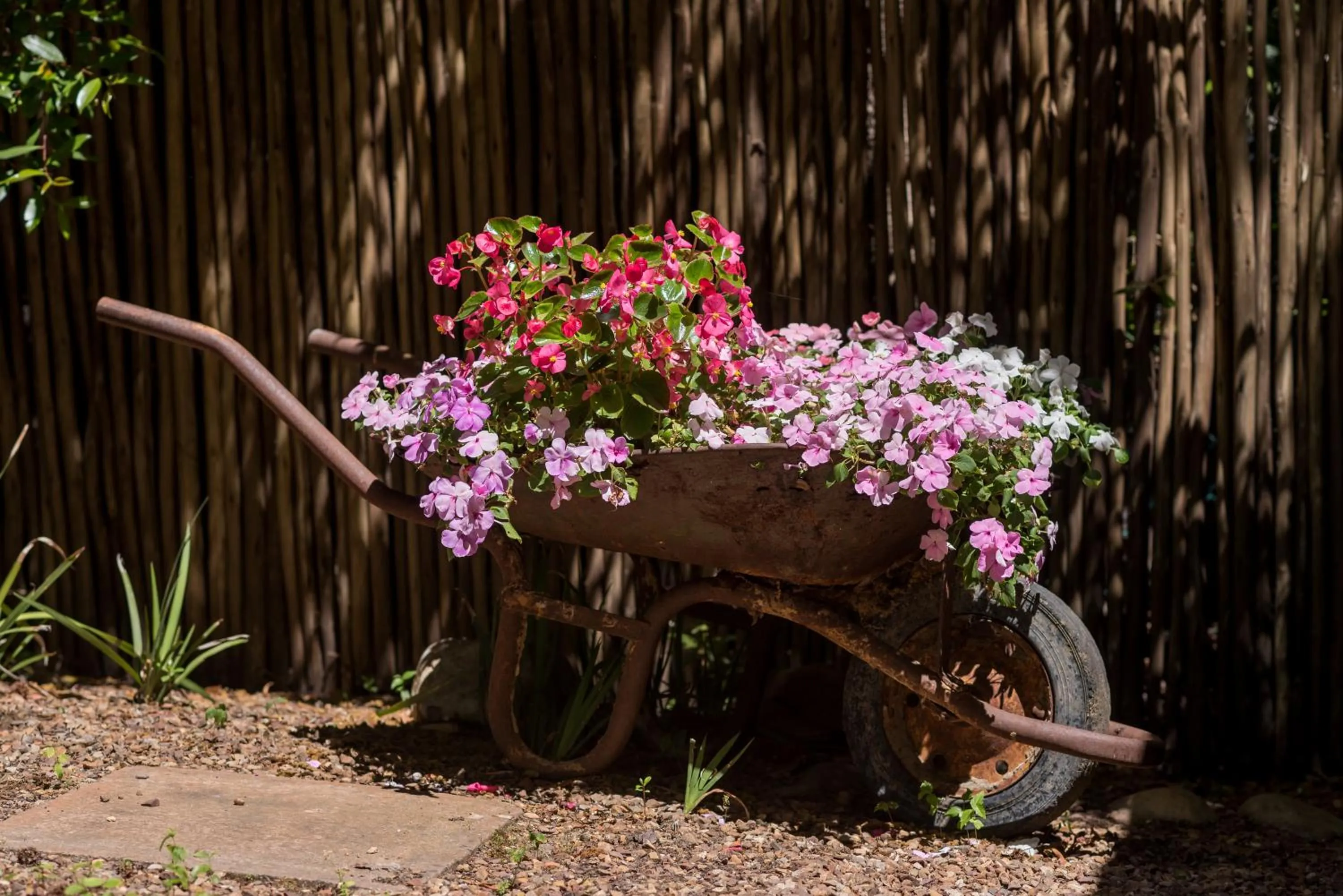 Garden in Baruch Guest House Rhodes